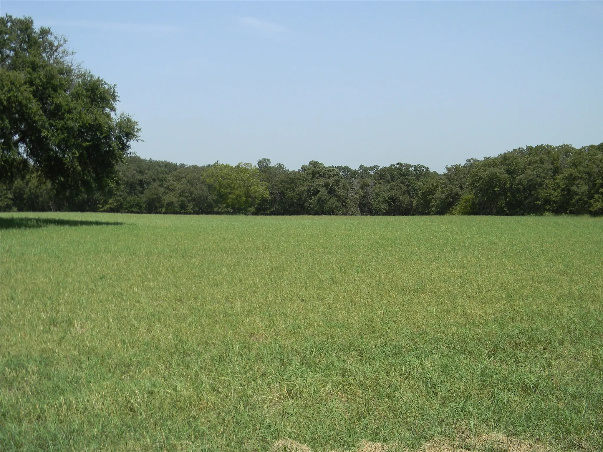 Notice the lovely trees in the back of the property