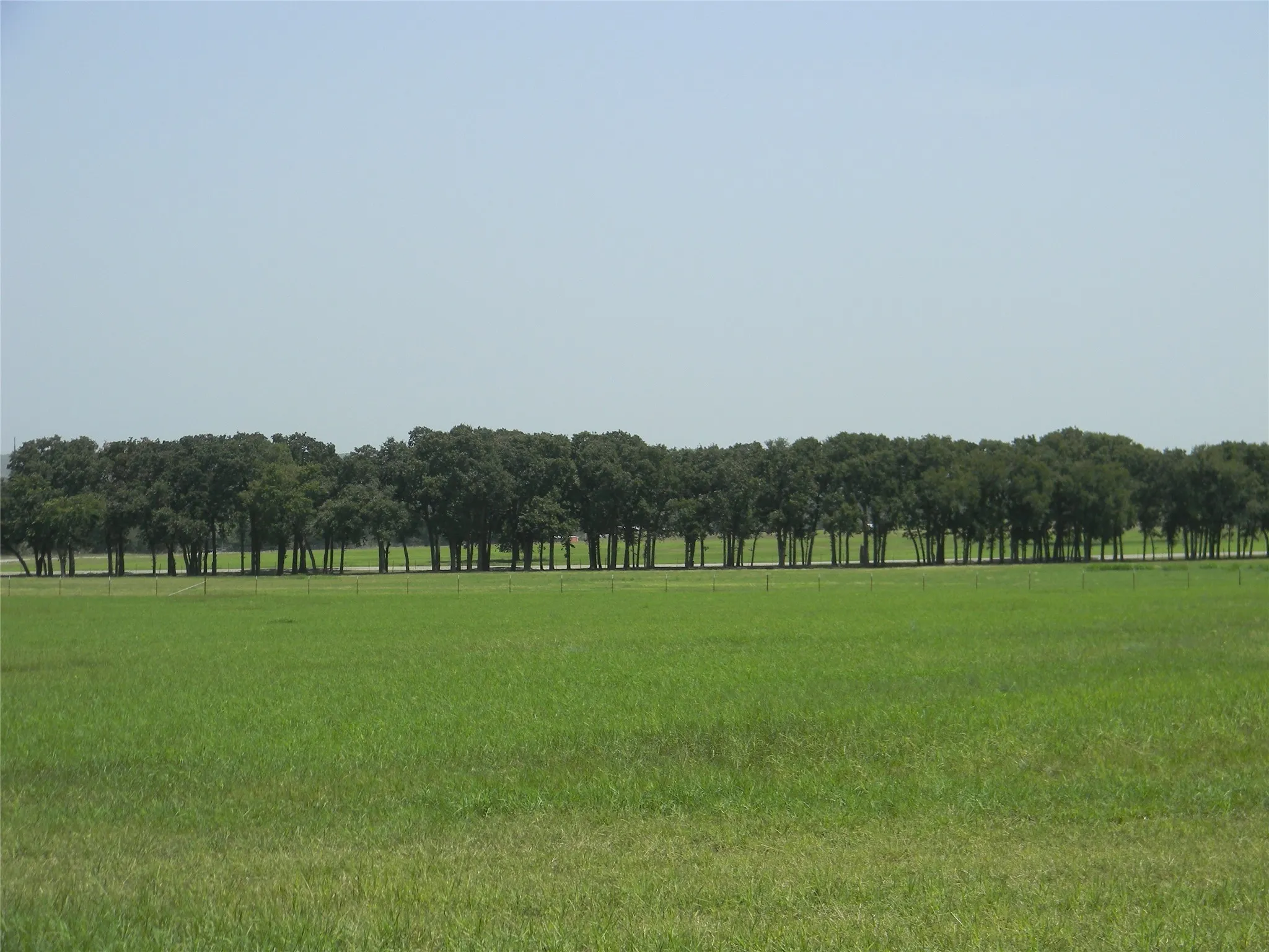 Tree lined entry