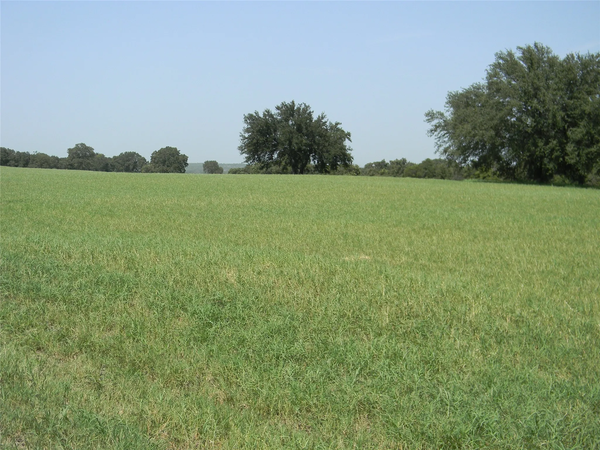 Plenty of area for building your home and still having room to play