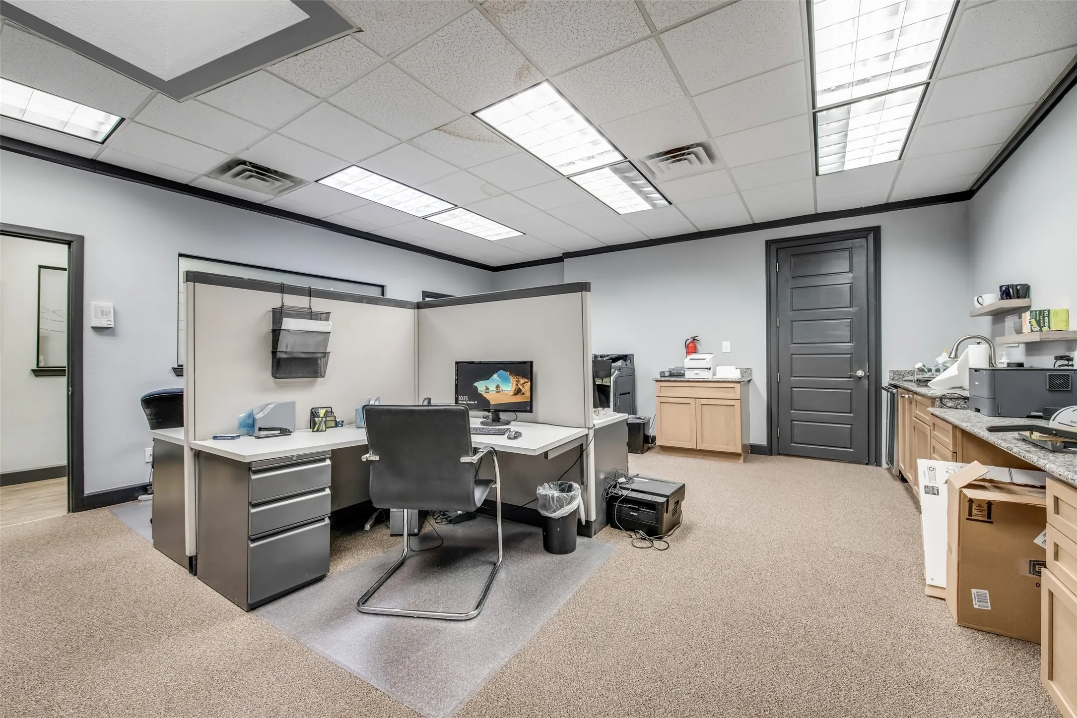 Carpeted office with crown molding and a paneled ceiling
