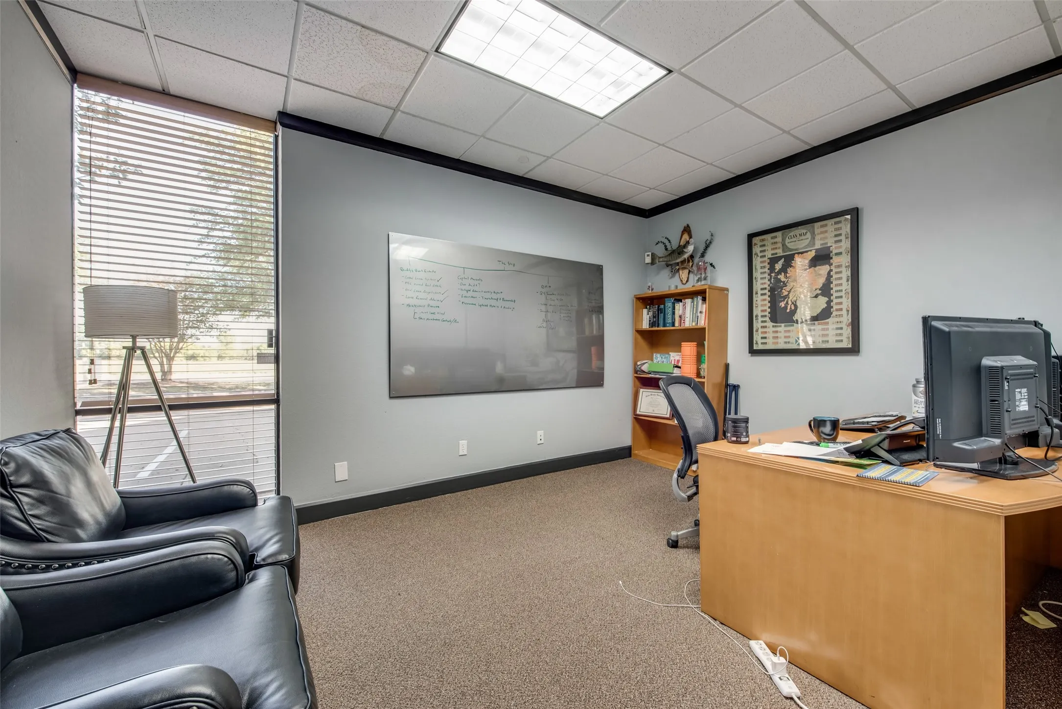 Carpeted home office featuring ornamental molding, a drop ceiling, and a wall of windows