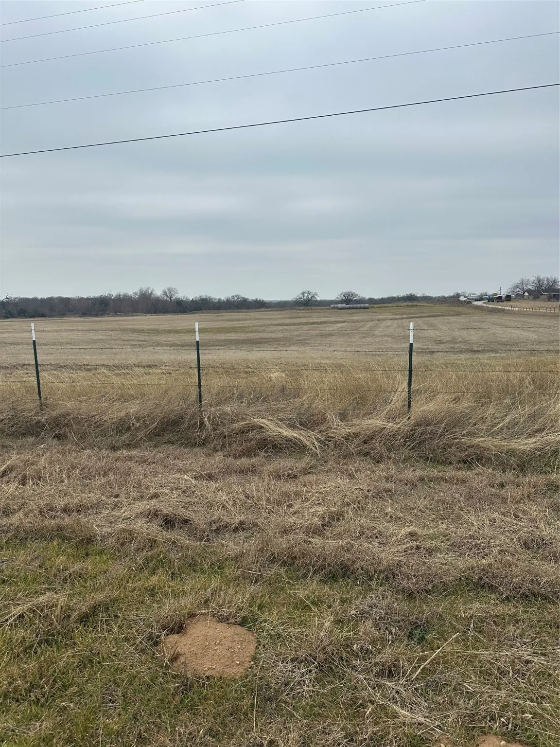 Ranch For Sale in Wise County , 4365 S Fm 730, Decatur, Texas 76234, 0, 0, Garage spaces, 0 Sqft, built in 0, Price $1,225,900, mls#20838269, Real Estate Agent in Decatur, Homes For Sale in Wise county, Homes For Sale in Decatur, Realtor in Decatur Texas, Real Estate Brokerage Independent Realty Texas, Luminita Cordes Realtor