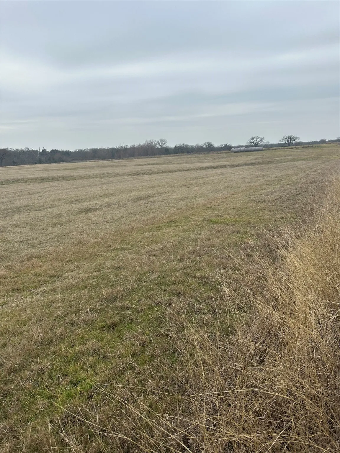 Ranch For Sale in Wise County , 4365 S Fm 730, Decatur, Texas 76234, 0, 0, Garage spaces, 0 Sqft, built in 0, Price $1,225,900, mls#20838269, Real Estate Agent in Decatur, Homes For Sale in Wise county, Homes For Sale in Decatur, Realtor in Decatur Texas, Real Estate Brokerage Independent Realty Texas, Luminita Cordes Realtor