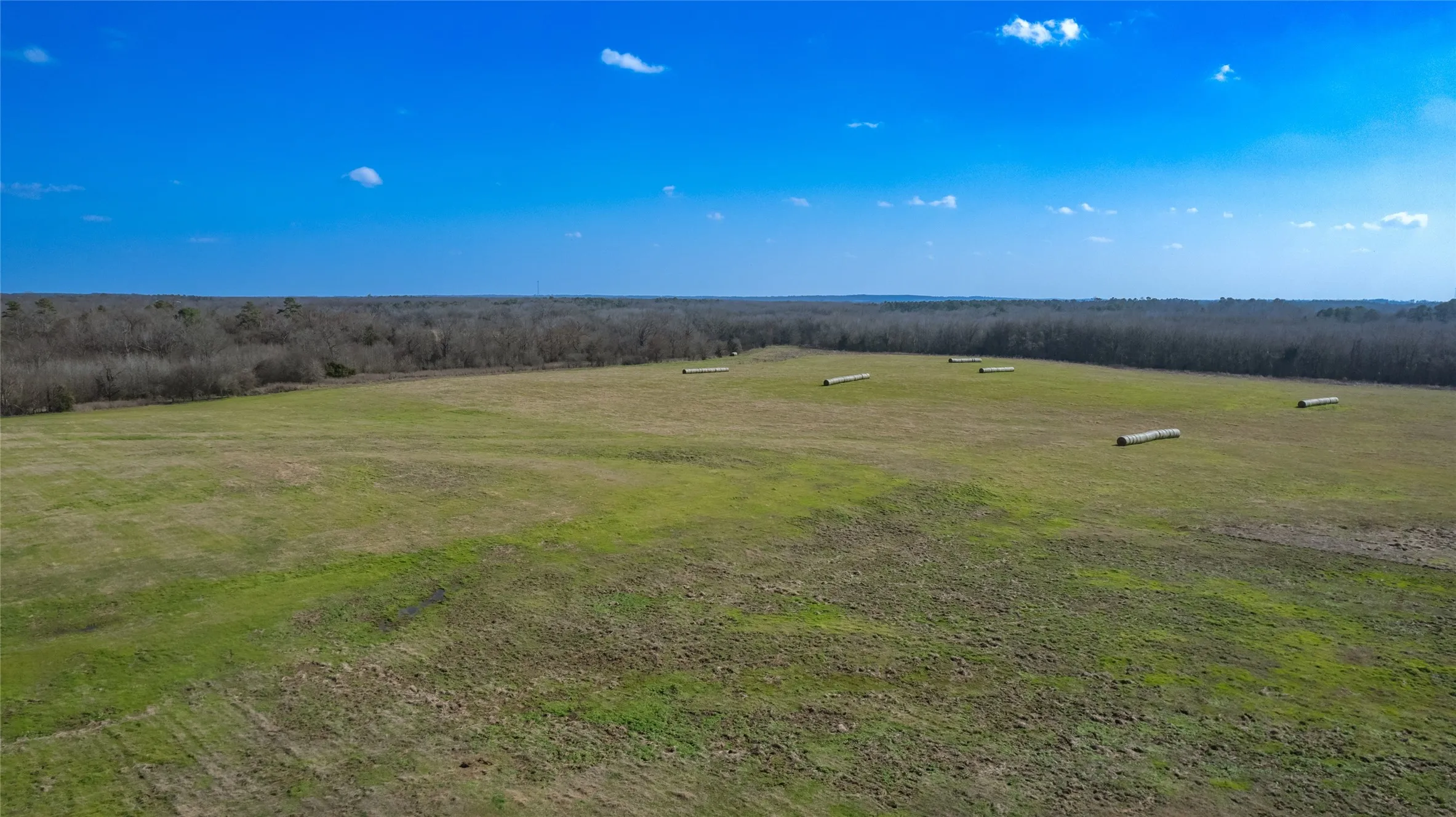 Improved Land For Sale in Hopkins County , 80ac Lot2 County Road 2376 2, Winnsboro, Texas 75494, 0, 0, Garage spaces, 0 Sqft, built in 0, mls#20832182, Real Estate Agent in Winnsboro, Homes For Sale in Hopkins county, Homes For Sale in Winnsboro, Realtor in Winnsboro Texas, Real Estate Brokerage Independent Realty Texas, Luminita Cordes Realtor