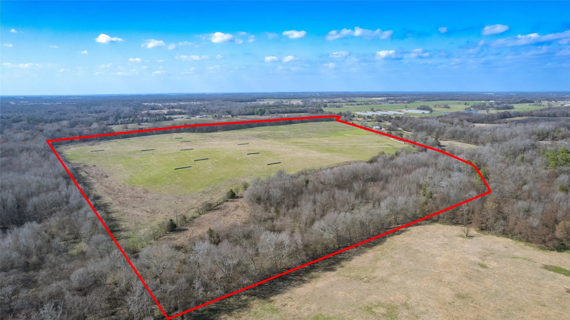Improved Land For Sale in Hopkins County , 80ac Lot2 County Road 2376 2, Winnsboro, Texas 75494, 0, 0, Garage spaces, 0 Sqft, built in 0, mls#20832182, Real Estate Agent in Winnsboro, Homes For Sale in Hopkins county, Homes For Sale in Winnsboro, Realtor in Winnsboro Texas, Real Estate Brokerage Independent Realty Texas, Luminita Cordes Realtor