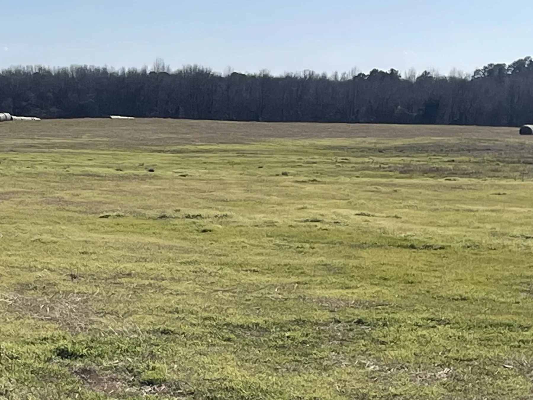 Improved Land For Sale in Hopkins County , 80ac Lot2 County Road 2376 2, Winnsboro, Texas 75494, 0, 0, Garage spaces, 0 Sqft, built in 0, mls#20832182, Real Estate Agent in Winnsboro, Homes For Sale in Hopkins county, Homes For Sale in Winnsboro, Realtor in Winnsboro Texas, Real Estate Brokerage Independent Realty Texas, Luminita Cordes Realtor