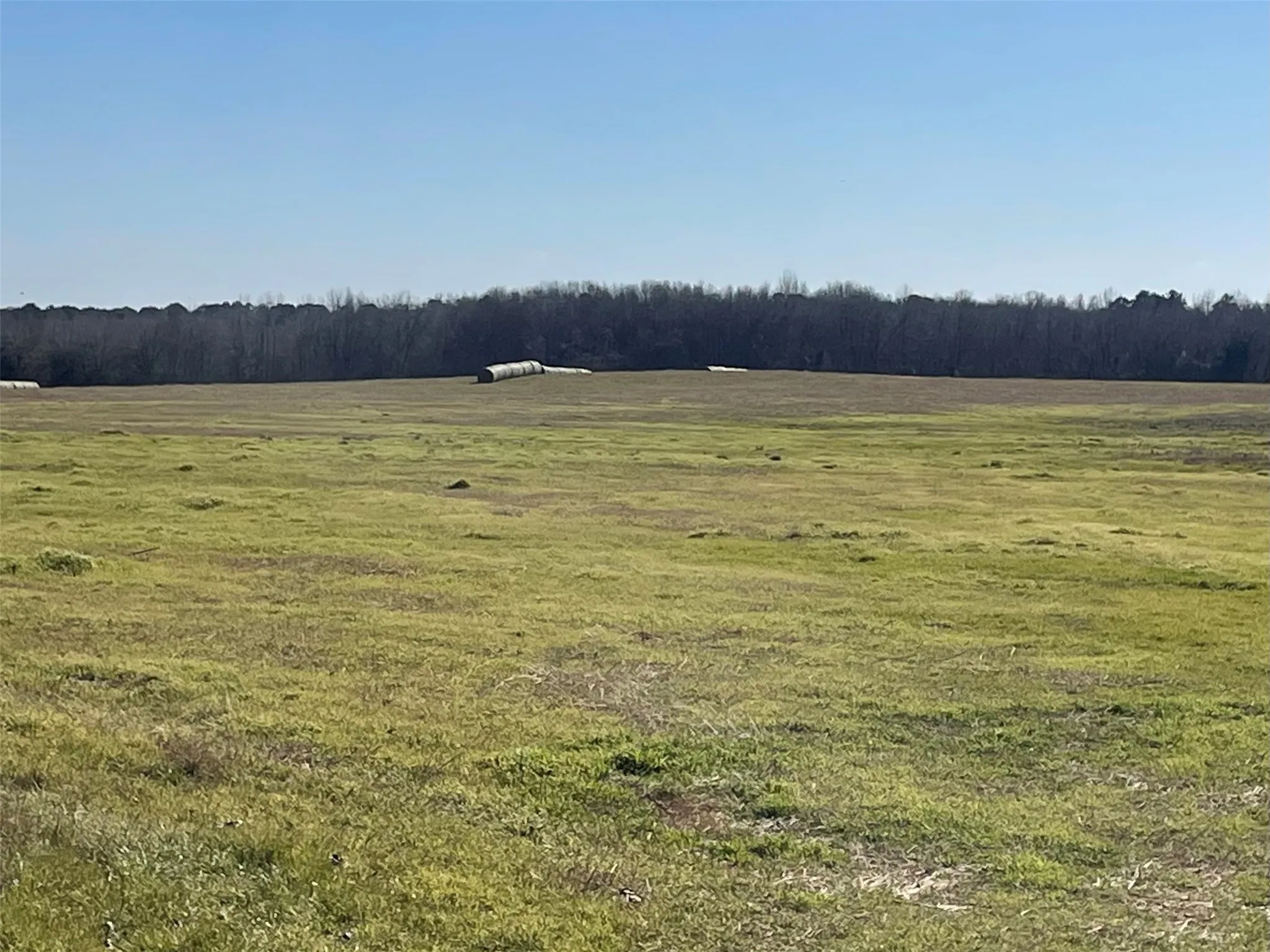Improved Land For Sale in Hopkins County , 80ac Lot2 County Road 2376 2, Winnsboro, Texas 75494, 0, 0, Garage spaces, 0 Sqft, built in 0, mls#20832182, Real Estate Agent in Winnsboro, Homes For Sale in Hopkins county, Homes For Sale in Winnsboro, Realtor in Winnsboro Texas, Real Estate Brokerage Independent Realty Texas, Luminita Cordes Realtor