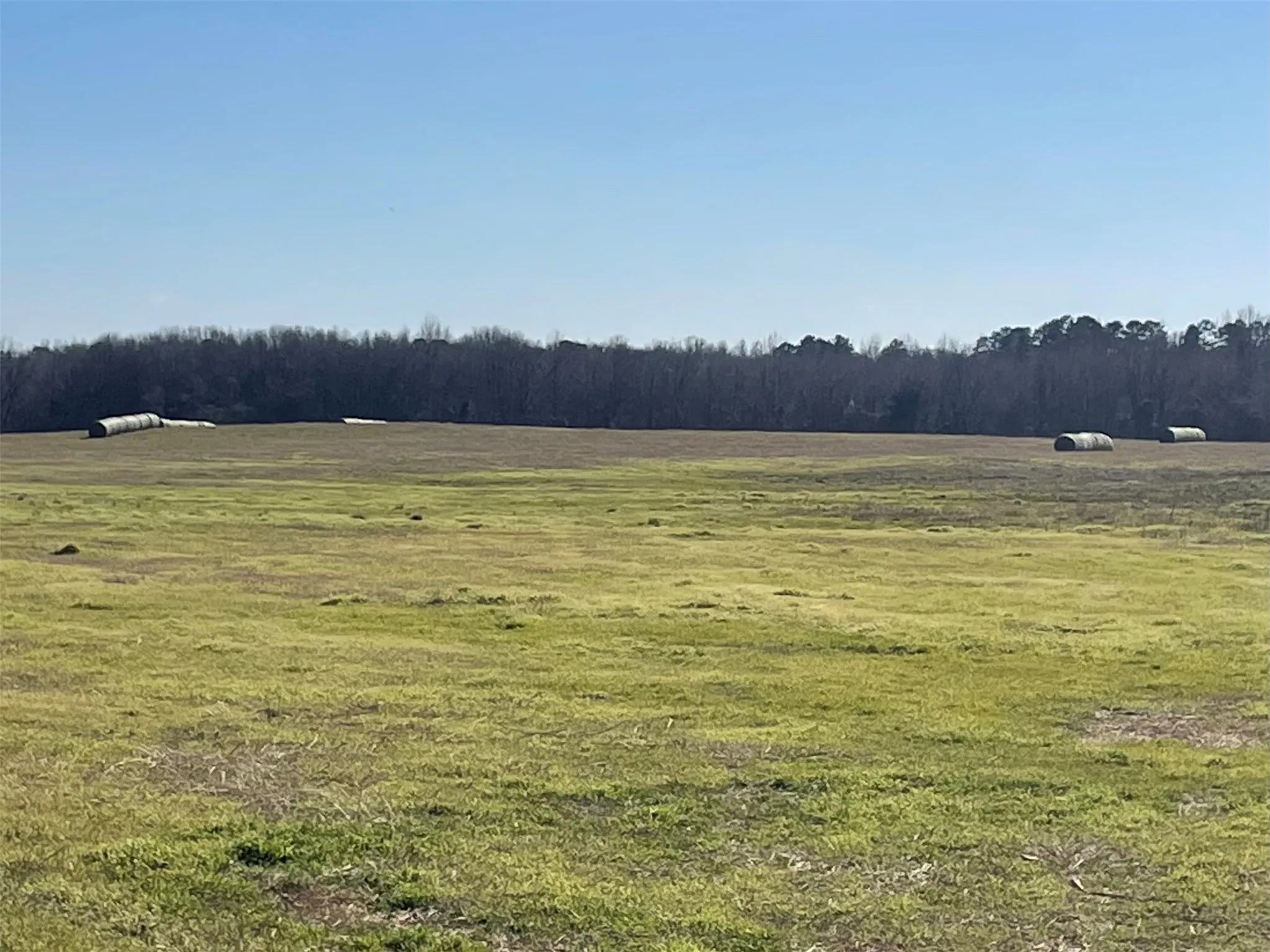 Improved Land For Sale in Hopkins County , 80ac Lot2 County Road 2376 2, Winnsboro, Texas 75494, 0, 0, Garage spaces, 0 Sqft, built in 0, mls#20832182, Real Estate Agent in Winnsboro, Homes For Sale in Hopkins county, Homes For Sale in Winnsboro, Realtor in Winnsboro Texas, Real Estate Brokerage Independent Realty Texas, Luminita Cordes Realtor