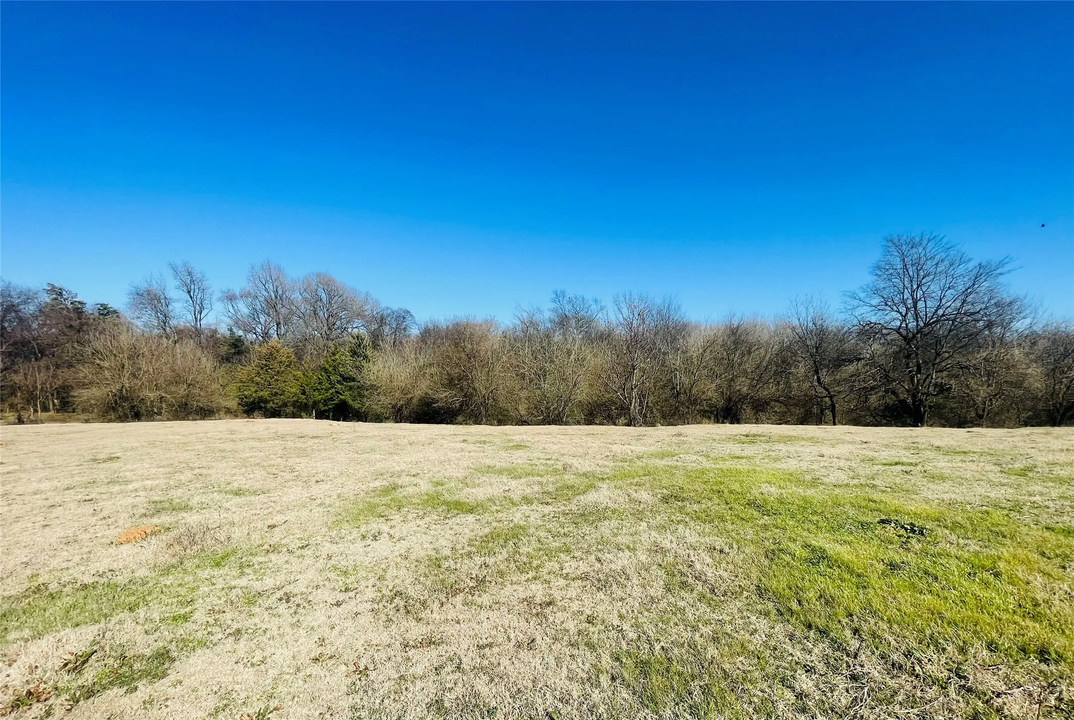 Improved Land For Sale in Hopkins County , 1155 County Road 2376 Tract 2A, Winnsboro, Texas 75494, 0, 0, Garage spaces, 0 Sqft, built in 1940, Price $229,000, mls#20833348, Real Estate Agent in Winnsboro, Homes For Sale in Hopkins county, Homes For Sale in Winnsboro, Realtor in Winnsboro Texas, Real Estate Brokerage Independent Realty Texas, Luminita Cordes Realtor