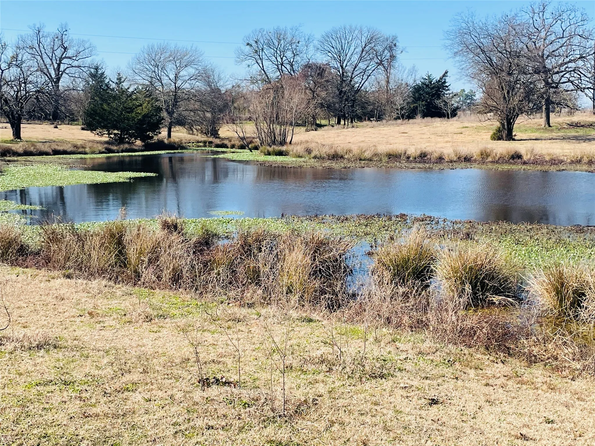 Improved Land For Sale in Hopkins County , 1155 County Road 2376 Tract 2A, Winnsboro, Texas 75494, 0, 0, Garage spaces, 0 Sqft, built in 1940, Price $229,000, mls#20833348, Real Estate Agent in Winnsboro, Homes For Sale in Hopkins county, Homes For Sale in Winnsboro, Realtor in Winnsboro Texas, Real Estate Brokerage Independent Realty Texas, Luminita Cordes Realtor