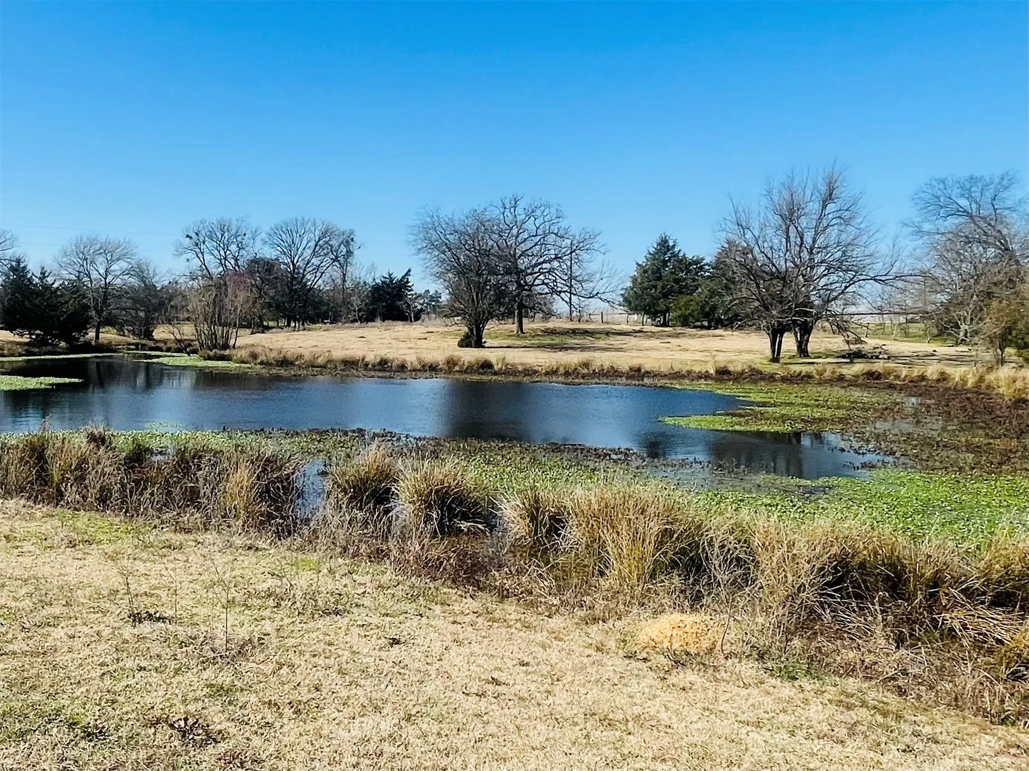 Improved Land For Sale in Hopkins County , 1155 County Road 2376 Tract 2A, Winnsboro, Texas 75494, 0, 0, Garage spaces, 0 Sqft, built in 1940, Price $229,000, mls#20833348, Real Estate Agent in Winnsboro, Homes For Sale in Hopkins county, Homes For Sale in Winnsboro, Realtor in Winnsboro Texas, Real Estate Brokerage Independent Realty Texas, Luminita Cordes Realtor