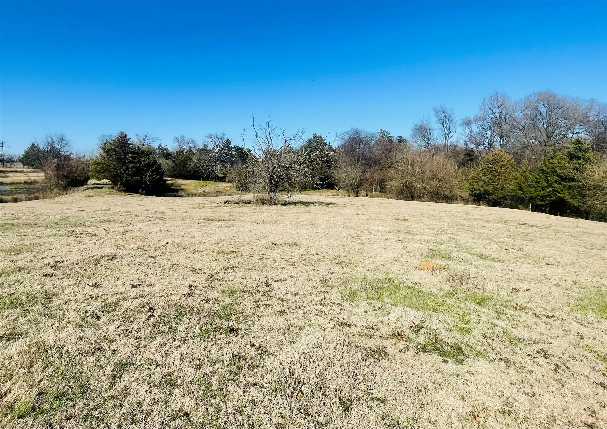 Improved Land For Sale in Hopkins County , 1155 County Road 2376 Tract 2A, Winnsboro, Texas 75494, 0, 0, Garage spaces, 0 Sqft, built in 1940, Price $229,000, mls#20833348, Real Estate Agent in Winnsboro, Homes For Sale in Hopkins county, Homes For Sale in Winnsboro, Realtor in Winnsboro Texas, Real Estate Brokerage Independent Realty Texas, Luminita Cordes Realtor