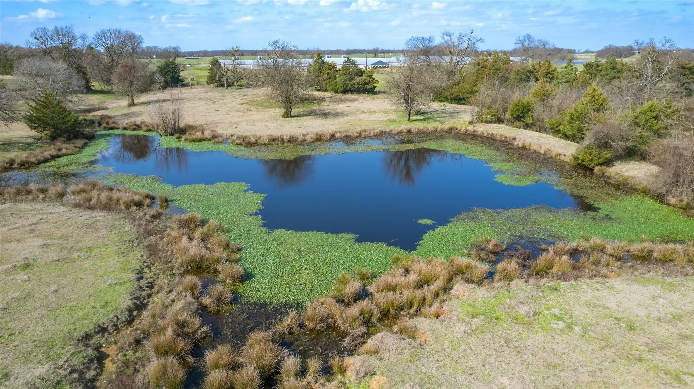 Improved Land For Sale in Hopkins County , 1155 County Road 2376 Tract 2A, Winnsboro, Texas 75494, 0, 0, Garage spaces, 0 Sqft, built in 1940, Price $229,000, mls#20833348, Real Estate Agent in Winnsboro, Homes For Sale in Hopkins county, Homes For Sale in Winnsboro, Realtor in Winnsboro Texas, Real Estate Brokerage Independent Realty Texas, Luminita Cordes Realtor