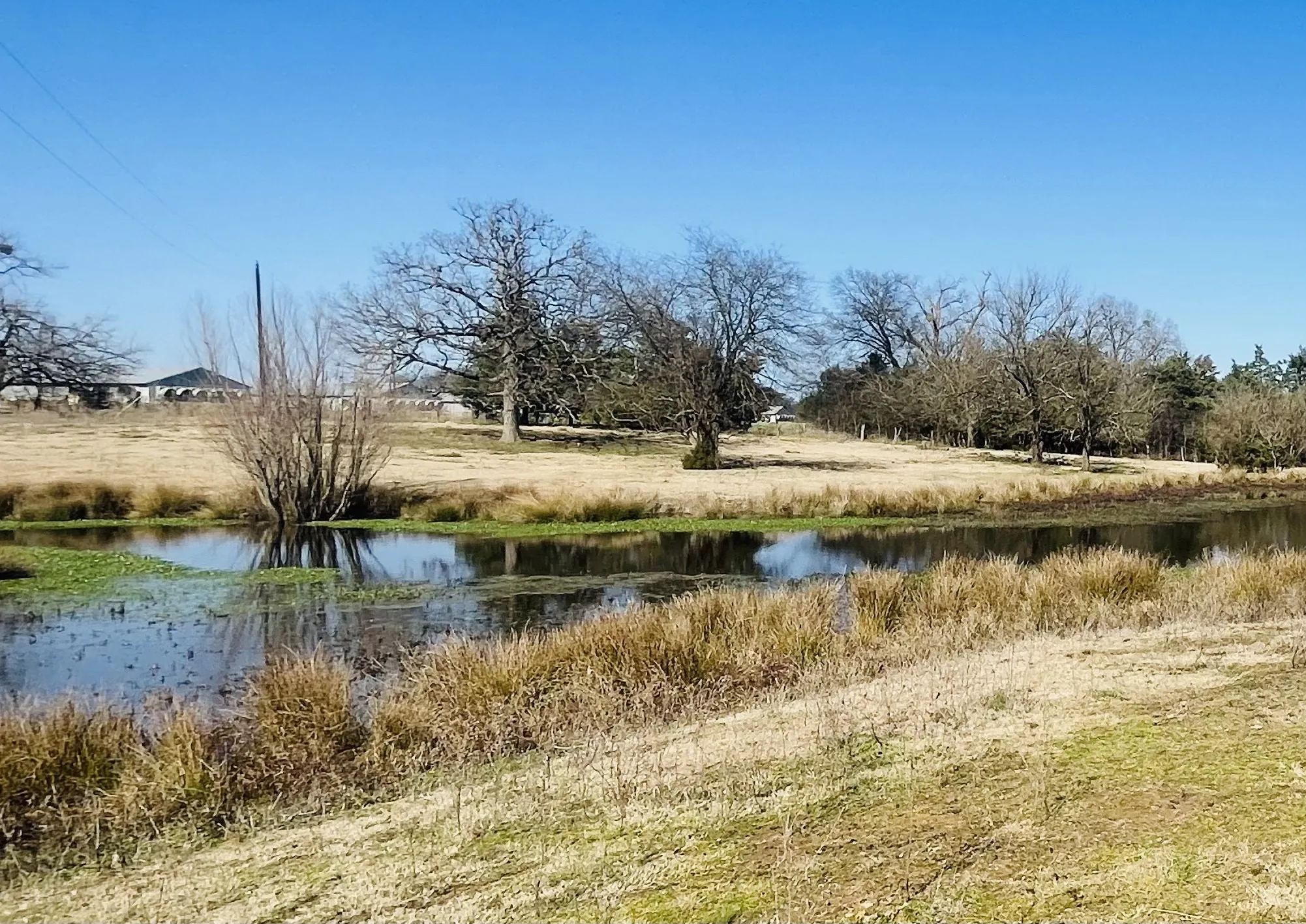 Improved Land For Sale in Hopkins County , 1155 County Road 2376 Tract 2A, Winnsboro, Texas 75494, 0, 0, Garage spaces, 0 Sqft, built in 1940, Price $229,000, mls#20833348, Real Estate Agent in Winnsboro, Homes For Sale in Hopkins county, Homes For Sale in Winnsboro, Realtor in Winnsboro Texas, Real Estate Brokerage Independent Realty Texas, Luminita Cordes Realtor