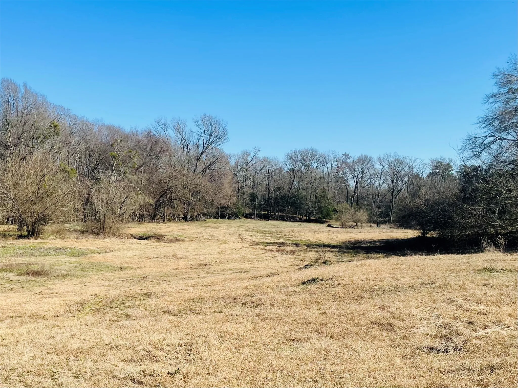 Improved Land For Sale in Hopkins County , 1155 County Road 2376 Tract 2A, Winnsboro, Texas 75494, 0, 0, Garage spaces, 0 Sqft, built in 1940, Price $229,000, mls#20833348, Real Estate Agent in Winnsboro, Homes For Sale in Hopkins county, Homes For Sale in Winnsboro, Realtor in Winnsboro Texas, Real Estate Brokerage Independent Realty Texas, Luminita Cordes Realtor