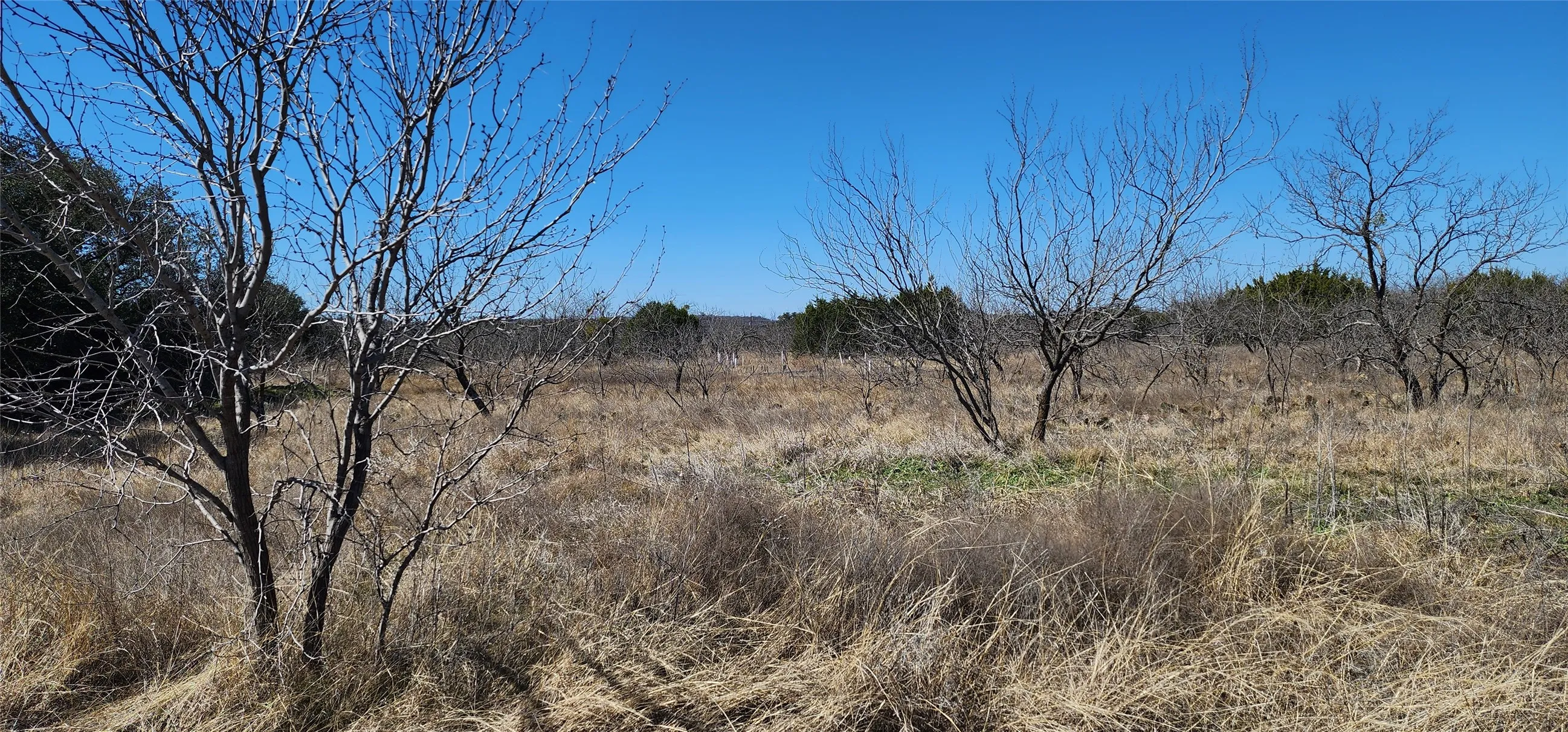View of nature