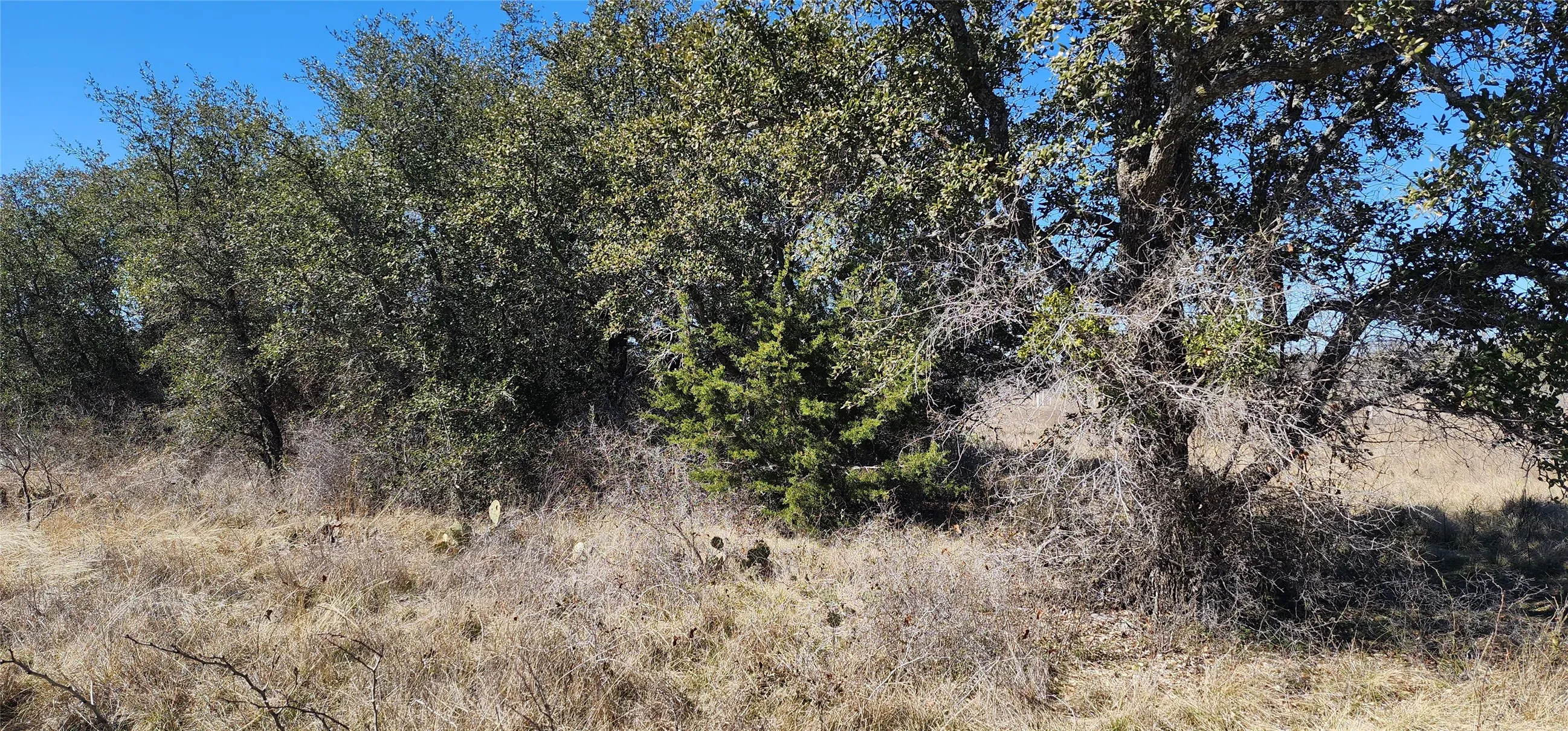 View of local​​‌​​​​‌​​‌‌​‌‌​​​‌‌​‌​‌​‌​​​‌​​ wilderness