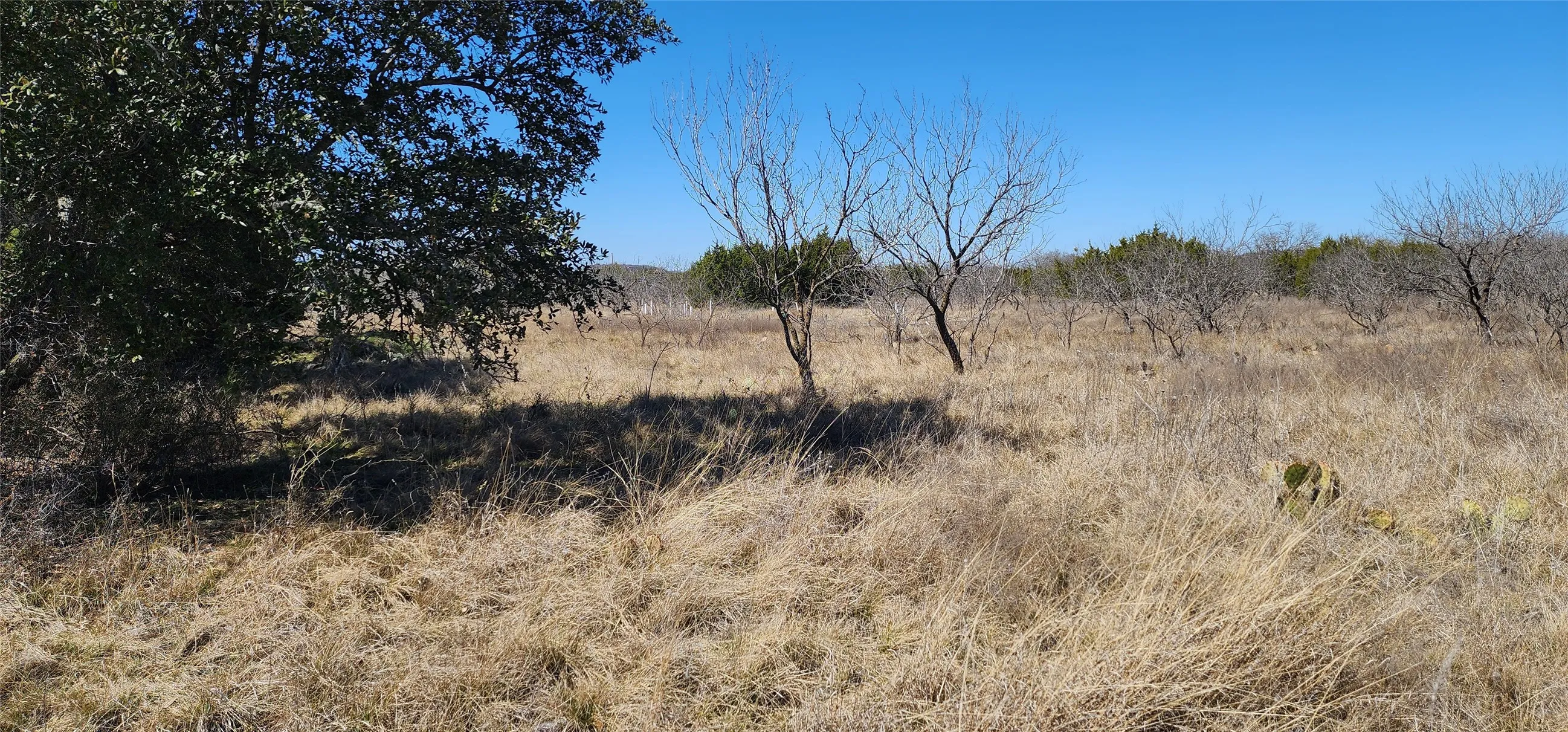 View of nature featuring a rural view