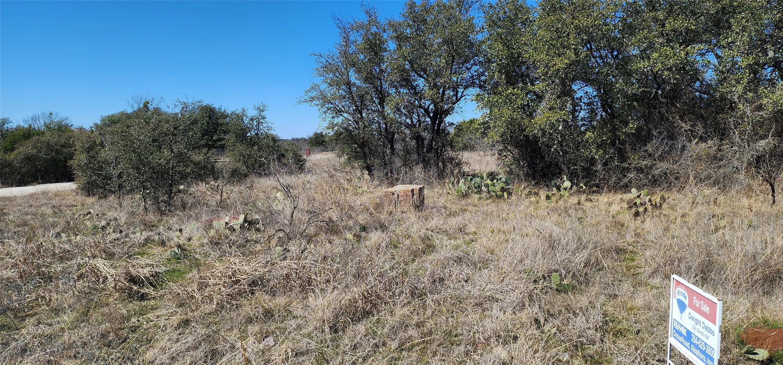 Improved Land For Sale in Eastland County , 100 ELZY LAY Court, Eastland, Texas 76448, 0, 0, Garage spaces, 0 Sqft, built in 0, Price $35,000, mls#20838578, Real Estate Agent in Eastland, Homes For Sale in Eastland county, Homes For Sale in Eastland, Realtor in Eastland Texas, Real Estate Brokerage Independent Realty Texas, Luminita Cordes Realtor