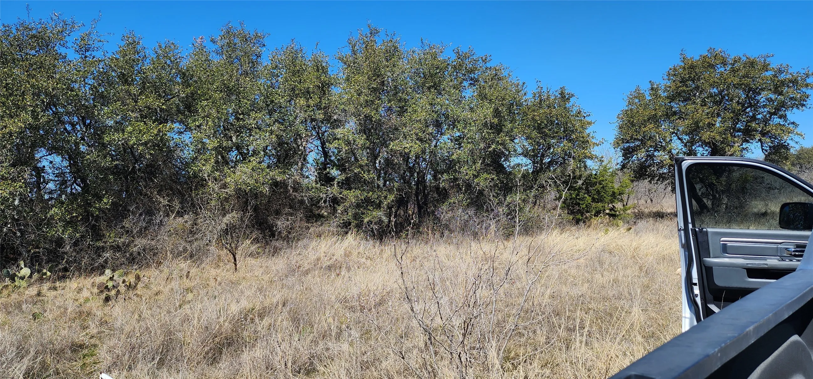 Improved Land For Sale in Eastland County , 100 ELZY LAY Court, Eastland, Texas 76448, 0, 0, Garage spaces, 0 Sqft, built in 0, Price $35,000, mls#20838578, Real Estate Agent in Eastland, Homes For Sale in Eastland county, Homes For Sale in Eastland, Realtor in Eastland Texas, Real Estate Brokerage Independent Realty Texas, Luminita Cordes Realtor