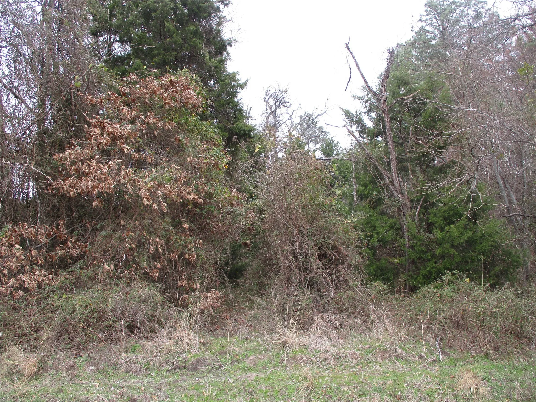 Unimproved Land For Sale in Rains County , TBD Rains County Road 3040, Emory, Texas 75440, 0, 0, Garage spaces, 0 Sqft, built in 0, mls#20838996, Real Estate Agent in Emory, Homes For Sale in Rains county, Homes For Sale in Emory, Realtor in Emory Texas, Real Estate Brokerage Independent Realty Texas, Luminita Cordes Realtor