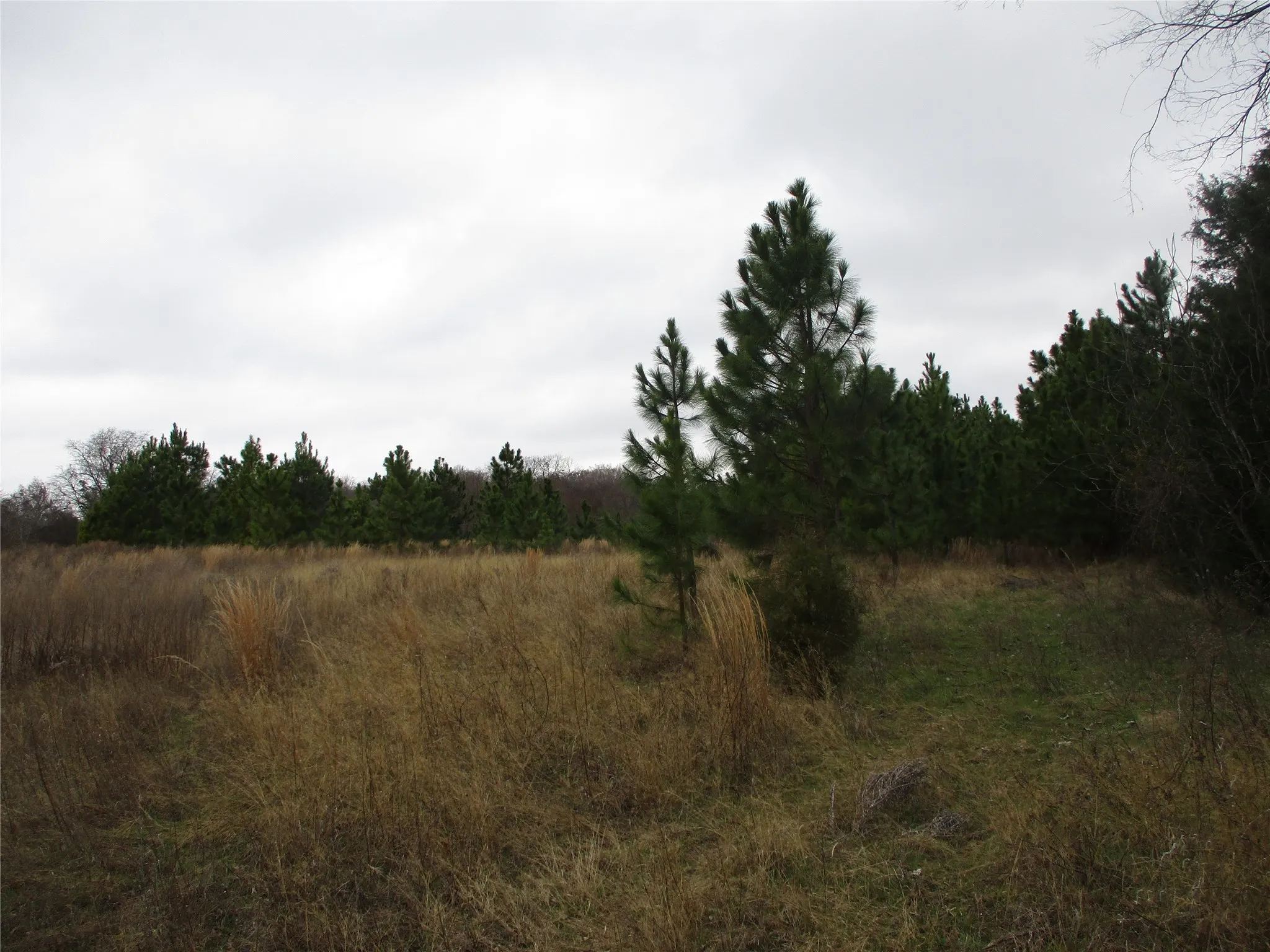 View of nature with a rural view