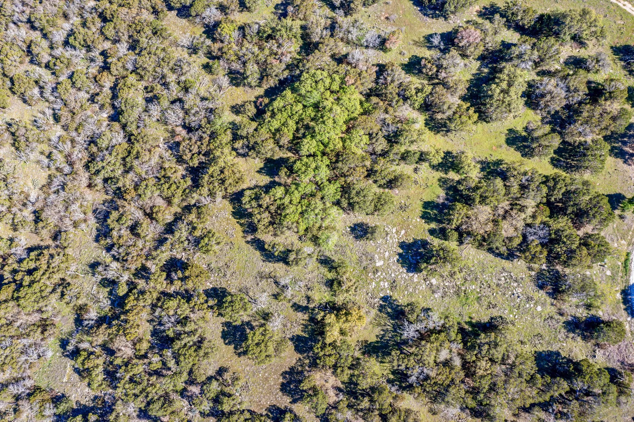 Unimproved Land For Sale in Palo Pinto County , 1021 Lakeside Lane, Graford, Texas 76449, 0, 0, Garage spaces, 0 Sqft, built in 0, mls#20840688, Real Estate Agent in Graford, Homes For Sale in Palo Pinto county, Homes For Sale in Graford, Realtor in Graford Texas, Real Estate Brokerage Independent Realty Texas, Luminita Cordes Realtor