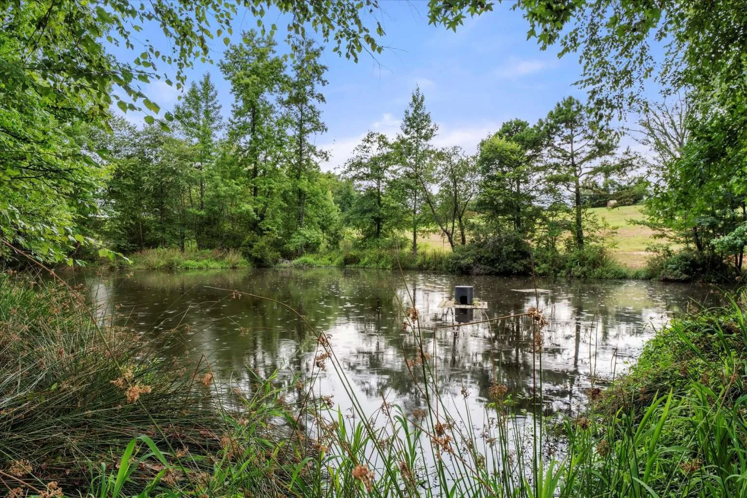 Single Family Residence For Sale in Franklin (TX) County , 274 CR 3230 SW 3230, Winnsboro, Texas 75494, 4 Bedroom, 3 Bathroom, 2 Garage spaces, 2,312 Sqft, built in 1999, Preowned, mls#20842967, Real Estate Agent in Winnsboro, Homes For Sale in Franklin (TX) county, Homes For Sale in Winnsboro, Realtor in Winnsboro Texas, Real Estate Brokerage Independent Realty Texas, Luminita Cordes Realtor