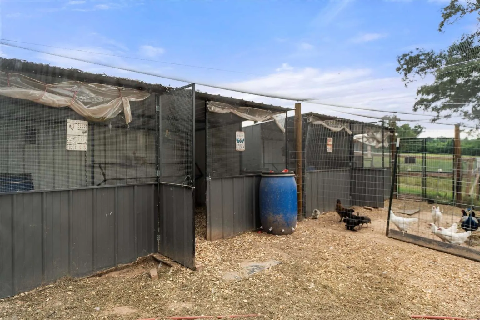 Single Family Residence For Sale in Franklin (TX) County , 274 CR 3230 SW 3230, Winnsboro, Texas 75494, 4 Bedroom, 3 Bathroom, 2 Garage spaces, 2,312 Sqft, built in 1999, Preowned, mls#20842967, Real Estate Agent in Winnsboro, Homes For Sale in Franklin (TX) county, Homes For Sale in Winnsboro, Realtor in Winnsboro Texas, Real Estate Brokerage Independent Realty Texas, Luminita Cordes Realtor