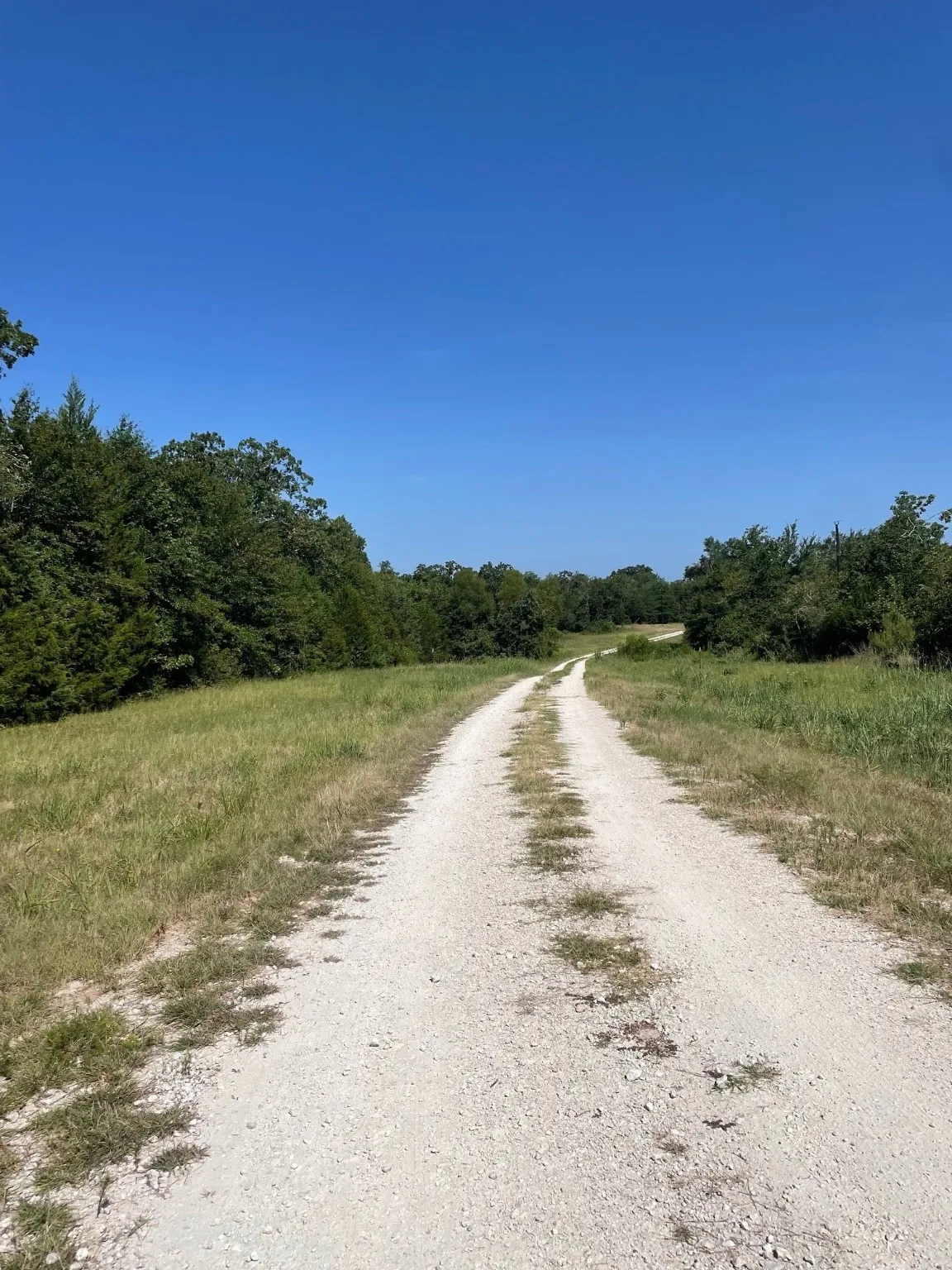 Ranch For Sale in Limestone County , 00 TBD 828 LCR 828, Groesbeck, Texas 76642, 0, 0, Garage spaces, 0 Sqft, built in 0, Price $264,160, mls#20843812, Real Estate Agent in Groesbeck, Homes For Sale in Limestone county, Homes For Sale in Groesbeck, Realtor in Groesbeck Texas, Real Estate Brokerage Independent Realty Texas, Luminita Cordes Realtor