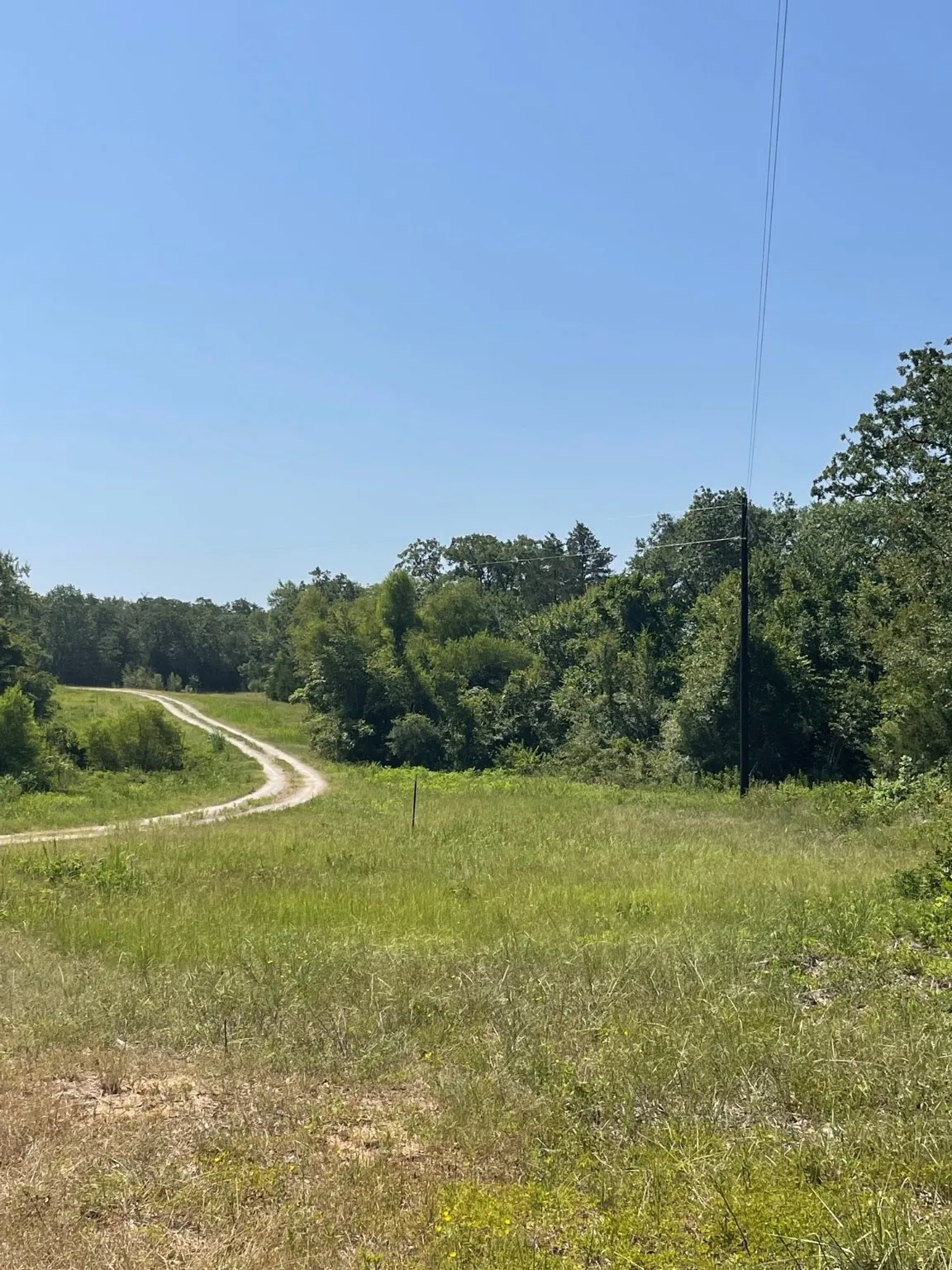 Ranch For Sale in Limestone County , 00 TBD 828 LCR 828, Groesbeck, Texas 76642, 0, 0, Garage spaces, 0 Sqft, built in 0, Price $264,160, mls#20843812, Real Estate Agent in Groesbeck, Homes For Sale in Limestone county, Homes For Sale in Groesbeck, Realtor in Groesbeck Texas, Real Estate Brokerage Independent Realty Texas, Luminita Cordes Realtor
