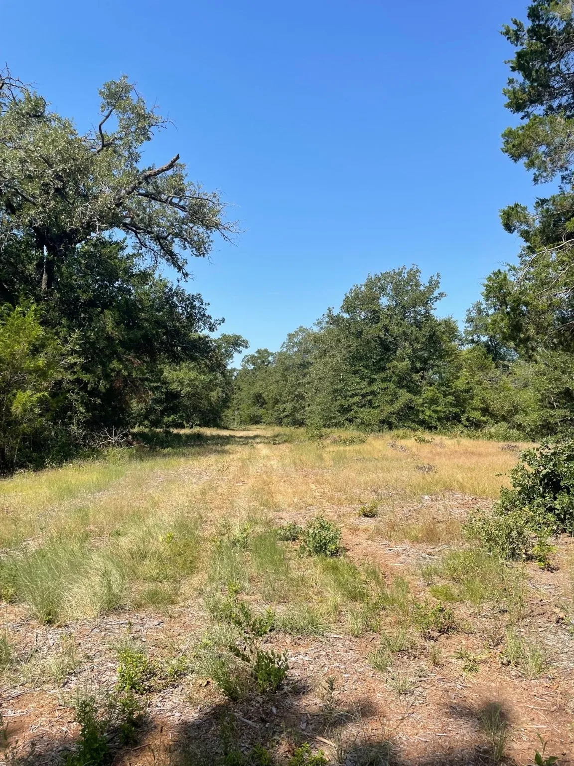 Ranch For Sale in Limestone County , 00 TBD 828 LCR 828, Groesbeck, Texas 76642, 0, 0, Garage spaces, 0 Sqft, built in 0, Price $264,160, mls#20843812, Real Estate Agent in Groesbeck, Homes For Sale in Limestone county, Homes For Sale in Groesbeck, Realtor in Groesbeck Texas, Real Estate Brokerage Independent Realty Texas, Luminita Cordes Realtor