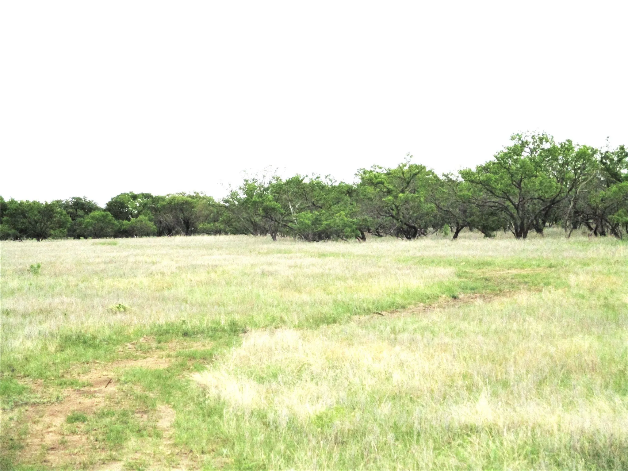 Ranch For Sale in Jack County , Tr 7 FM 2190, Jacksboro, Texas 76458, 0, 0, Garage spaces, 0 Sqft, built in 0, mls#20843961, Real Estate Agent in Jacksboro, Homes For Sale in Jack county, Homes For Sale in Jacksboro, Realtor in Jacksboro Texas, Real Estate Brokerage Independent Realty Texas, Luminita Cordes Realtor