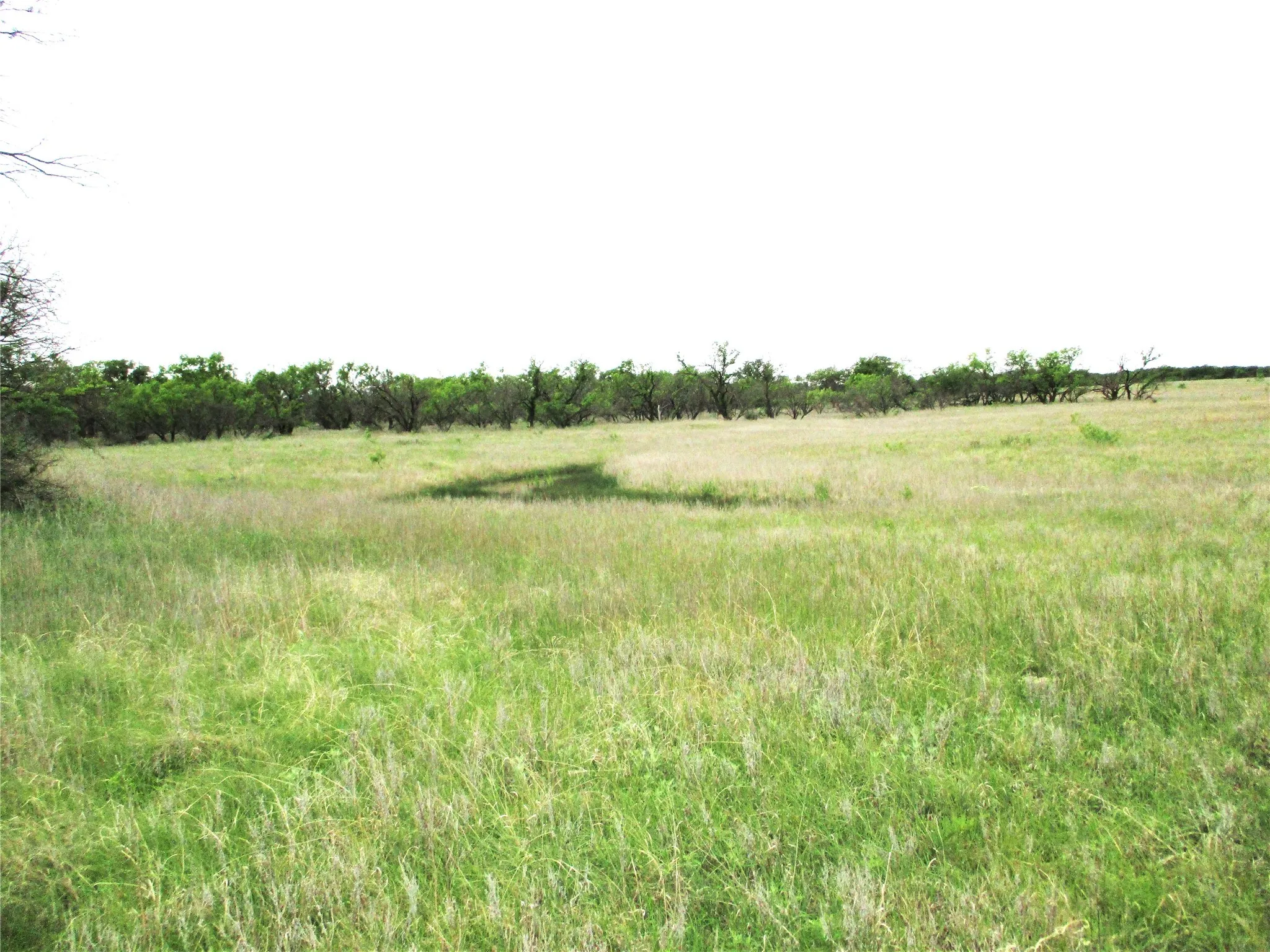 Ranch For Sale in Jack County , Tr 7 FM 2190, Jacksboro, Texas 76458, 0, 0, Garage spaces, 0 Sqft, built in 0, mls#20843961, Real Estate Agent in Jacksboro, Homes For Sale in Jack county, Homes For Sale in Jacksboro, Realtor in Jacksboro Texas, Real Estate Brokerage Independent Realty Texas, Luminita Cordes Realtor