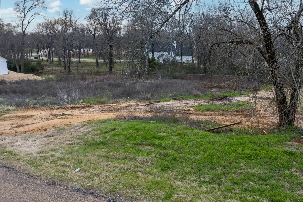 Unimproved Land For Sale in Kaufman County , 202 Splitrail Drive, Mabank, Texas 75143, 0, 0, Garage spaces, 0 Sqft, built in 0, Price $55,000, mls#20845632, Real Estate Agent in Mabank, Homes For Sale in Kaufman county, Homes For Sale in Mabank, Realtor in Mabank Texas, Real Estate Brokerage Independent Realty Texas, Luminita Cordes Realtor