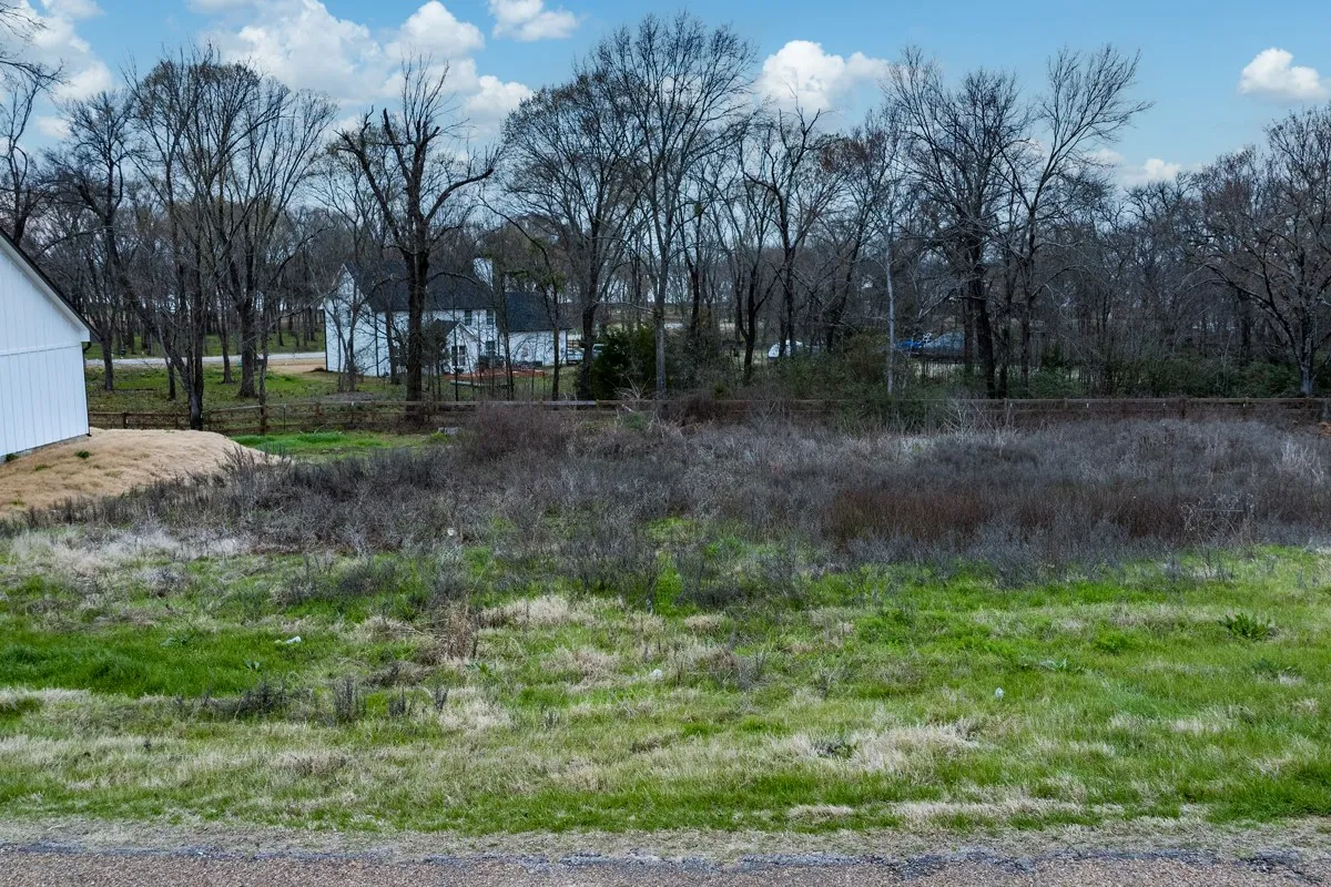 Unimproved Land For Sale in Kaufman County , 204 Splitrail Drive, Mabank, Texas 75143, 0, 0, Garage spaces, 0 Sqft, built in 0, Price $55,000, mls#20845637, Real Estate Agent in Mabank, Homes For Sale in Kaufman county, Homes For Sale in Mabank, Realtor in Mabank Texas, Real Estate Brokerage Independent Realty Texas, Luminita Cordes Realtor