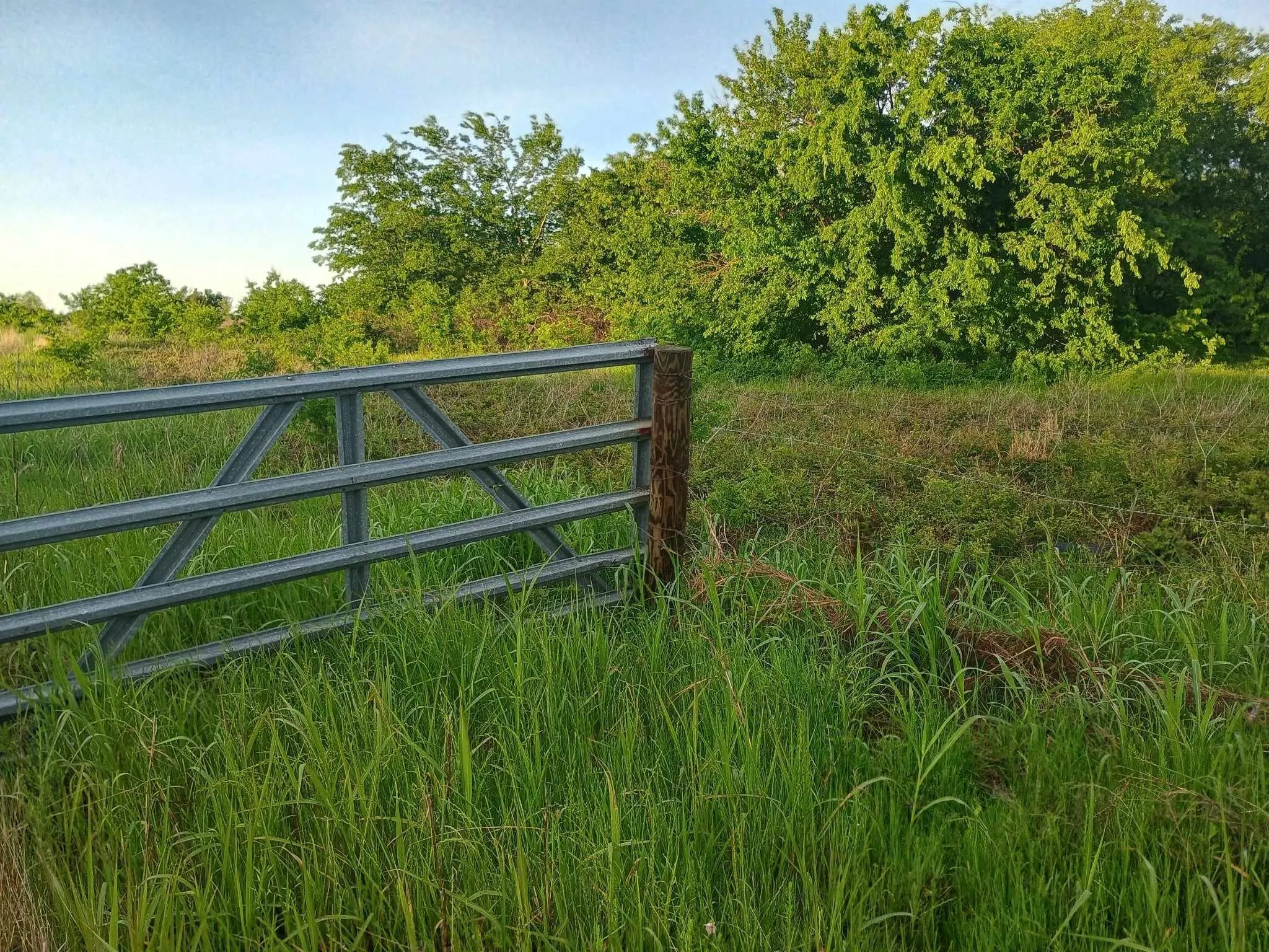 Unimproved Land For Sale in Hunt County , 5330 E I- 30, Campbell, Texas 75422, 0, 0, Garage spaces, 0 Sqft, built in 0, mls#20846210, Real Estate Agent in Campbell, Homes For Sale in Hunt county, Homes For Sale in Campbell, Realtor in Campbell Texas, Real Estate Brokerage Independent Realty Texas, Luminita Cordes Realtor