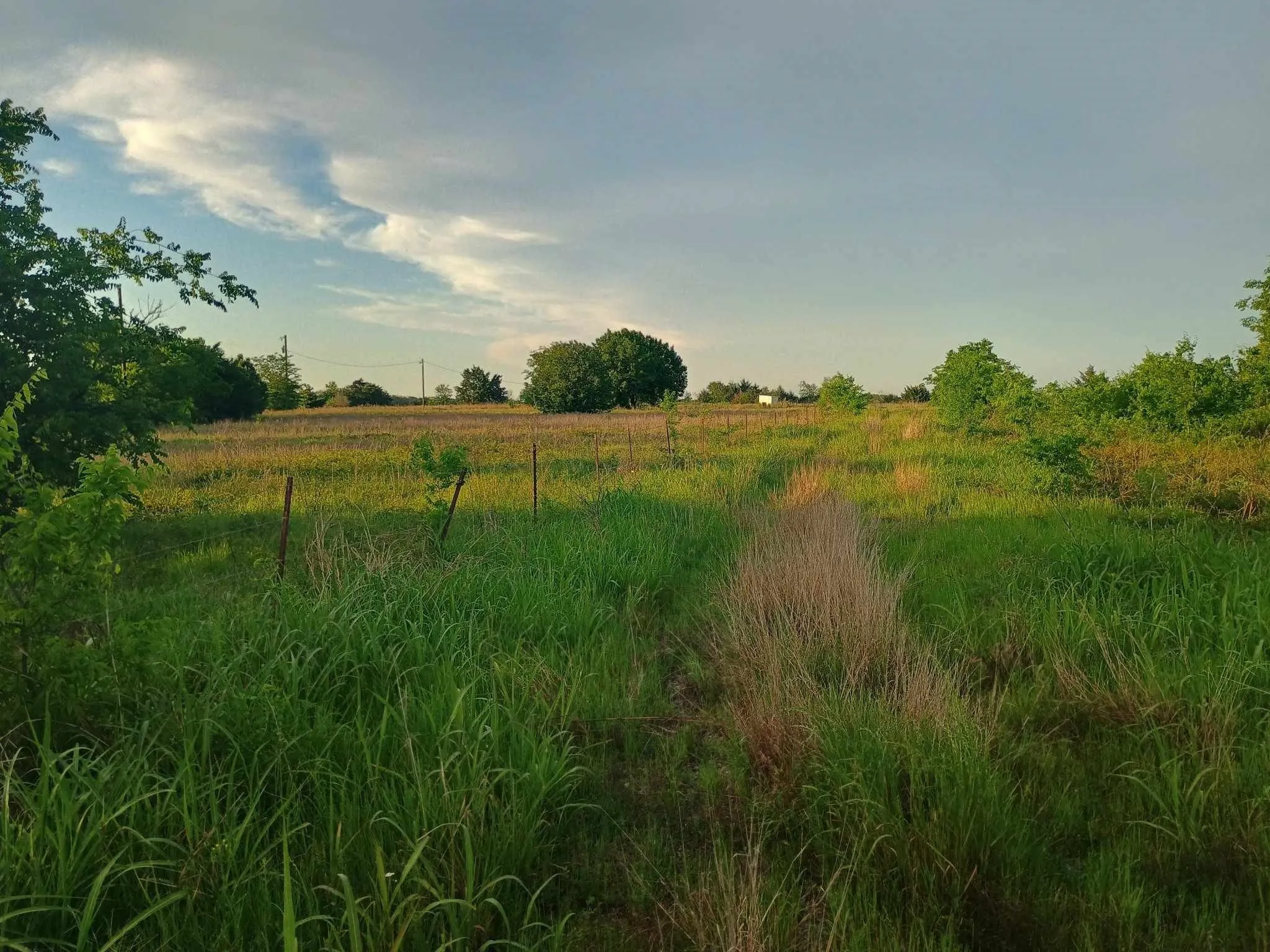 Unimproved Land For Sale in Hunt County , 5330 E I- 30, Campbell, Texas 75422, 0, 0, Garage spaces, 0 Sqft, built in 0, mls#20846210, Real Estate Agent in Campbell, Homes For Sale in Hunt county, Homes For Sale in Campbell, Realtor in Campbell Texas, Real Estate Brokerage Independent Realty Texas, Luminita Cordes Realtor
