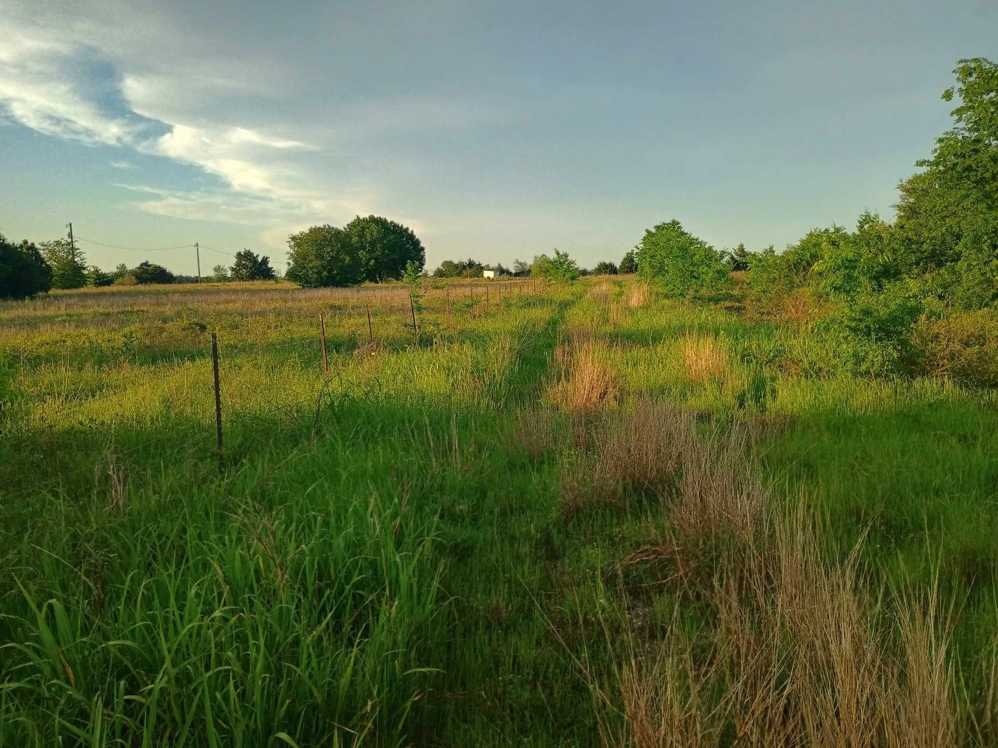 Unimproved Land For Sale in Hunt County , 5330 I-30, Campbell, Texas 75422, 0, 0, Garage spaces, 0 Sqft, built in 0, Unknown, mls#20846212, Real Estate Agent in Campbell, Homes For Sale in Hunt county, Homes For Sale in Campbell, Realtor in Campbell Texas, Real Estate Brokerage Independent Realty Texas, Luminita Cordes Realtor
