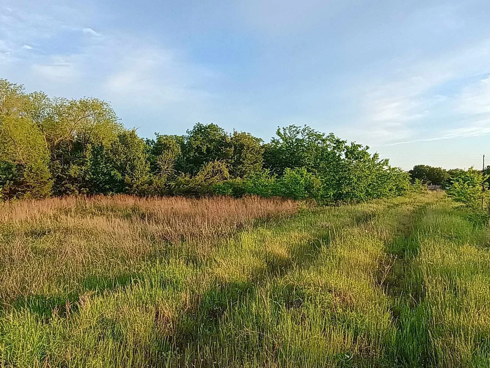 Unimproved Land For Sale in Hunt County , 5330 I-30, Campbell, Texas 75422, 0, 0, Garage spaces, 0 Sqft, built in 0, Unknown, mls#20846212, Real Estate Agent in Campbell, Homes For Sale in Hunt county, Homes For Sale in Campbell, Realtor in Campbell Texas, Real Estate Brokerage Independent Realty Texas, Luminita Cordes Realtor