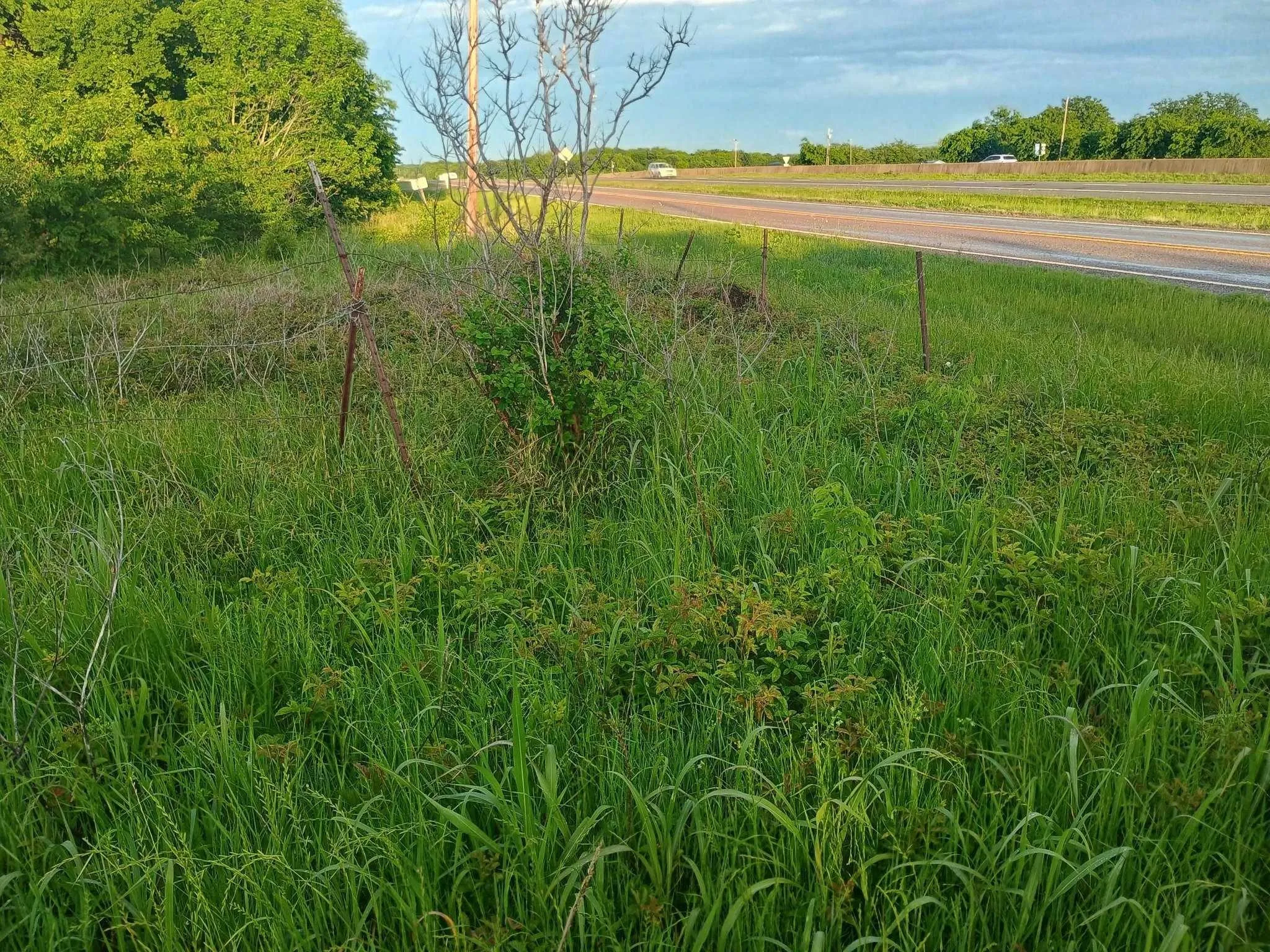 Unimproved Land For Sale in Hunt County , 5330 I-30, Campbell, Texas 75422, 0, 0, Garage spaces, 0 Sqft, built in 0, Unknown, mls#20846212, Real Estate Agent in Campbell, Homes For Sale in Hunt county, Homes For Sale in Campbell, Realtor in Campbell Texas, Real Estate Brokerage Independent Realty Texas, Luminita Cordes Realtor