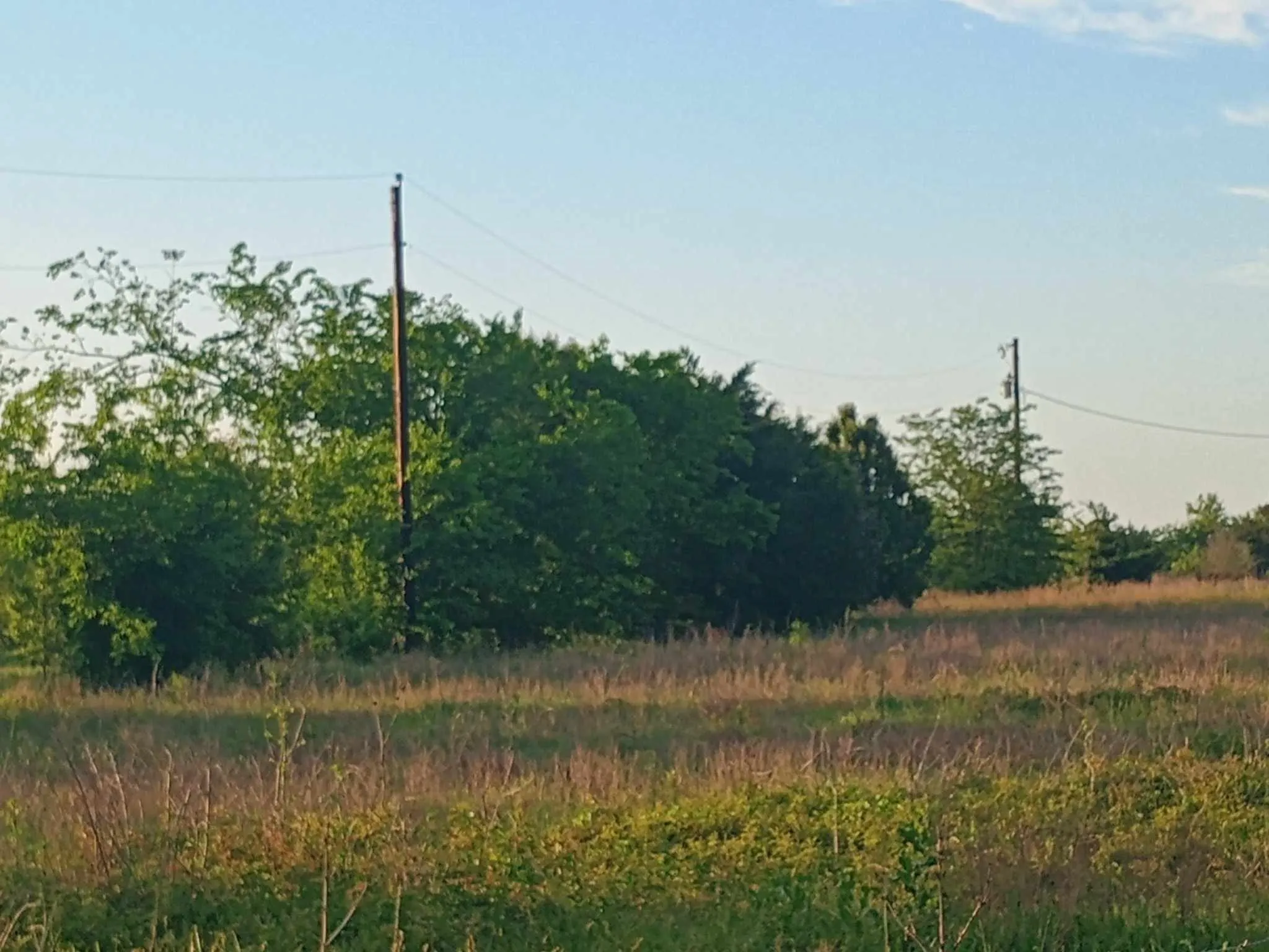 Unimproved Land For Sale in Hunt County , 5330 I-30, Campbell, Texas 75422, 0, 0, Garage spaces, 0 Sqft, built in 0, Unknown, mls#20846212, Real Estate Agent in Campbell, Homes For Sale in Hunt county, Homes For Sale in Campbell, Realtor in Campbell Texas, Real Estate Brokerage Independent Realty Texas, Luminita Cordes Realtor