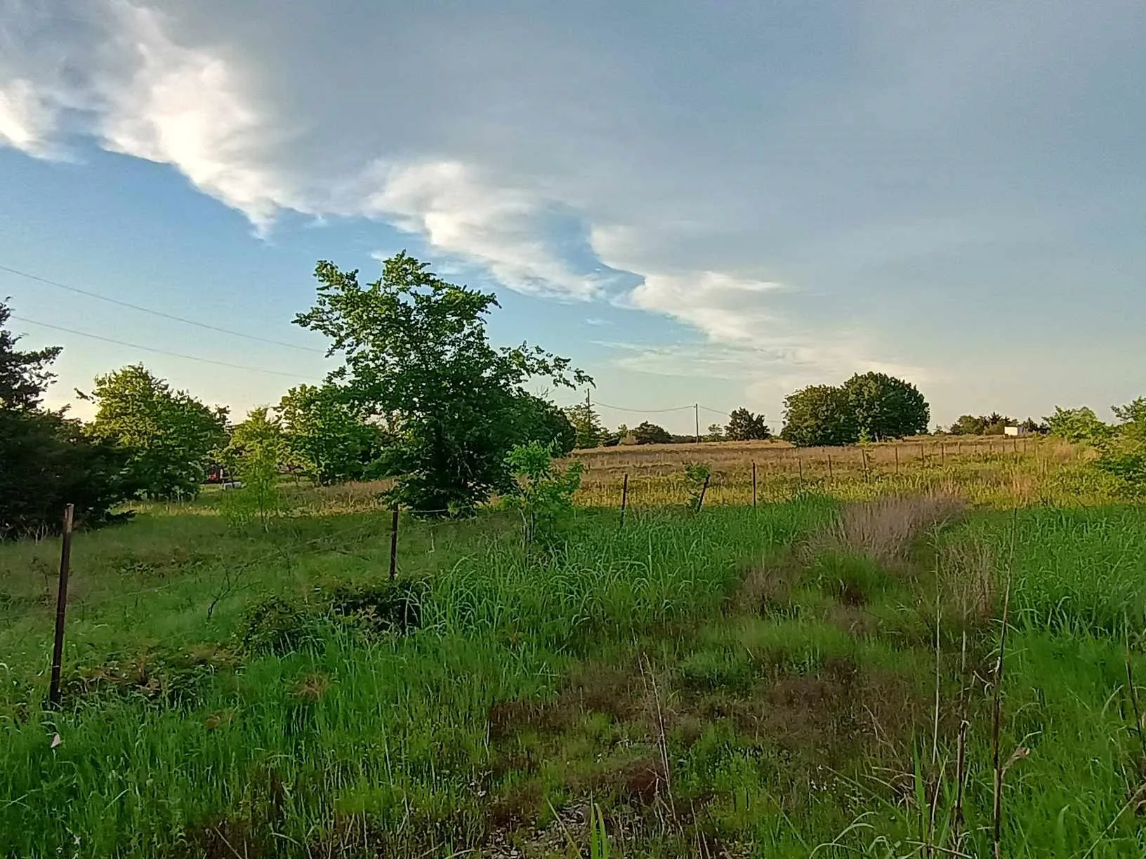 Unimproved Land For Sale in Hunt County , 5330 I-30, Campbell, Texas 75422, 0, 0, Garage spaces, 0 Sqft, built in 0, Unknown, mls#20846212, Real Estate Agent in Campbell, Homes For Sale in Hunt county, Homes For Sale in Campbell, Realtor in Campbell Texas, Real Estate Brokerage Independent Realty Texas, Luminita Cordes Realtor