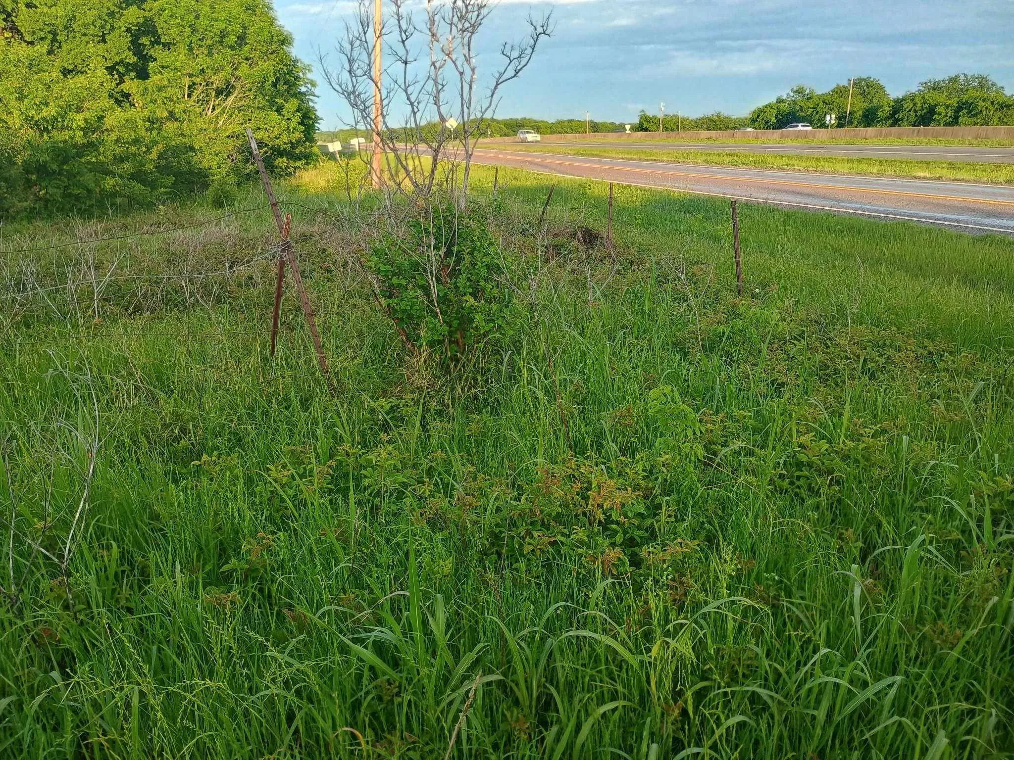 Business For Rent in Hunt County , 5330 I-30, Campbell, Texas 75422, 0, 0, Garage spaces, 0 Sqft, built in 0, Unknown, mls#20846220, Real Estate Agent in Campbell, Homes For Rent in Hunt county, Homes For Rent in Campbell, Realtor in Campbell Texas, Real Estate Brokerage Independent Realty Texas, Luminita Cordes Realtor