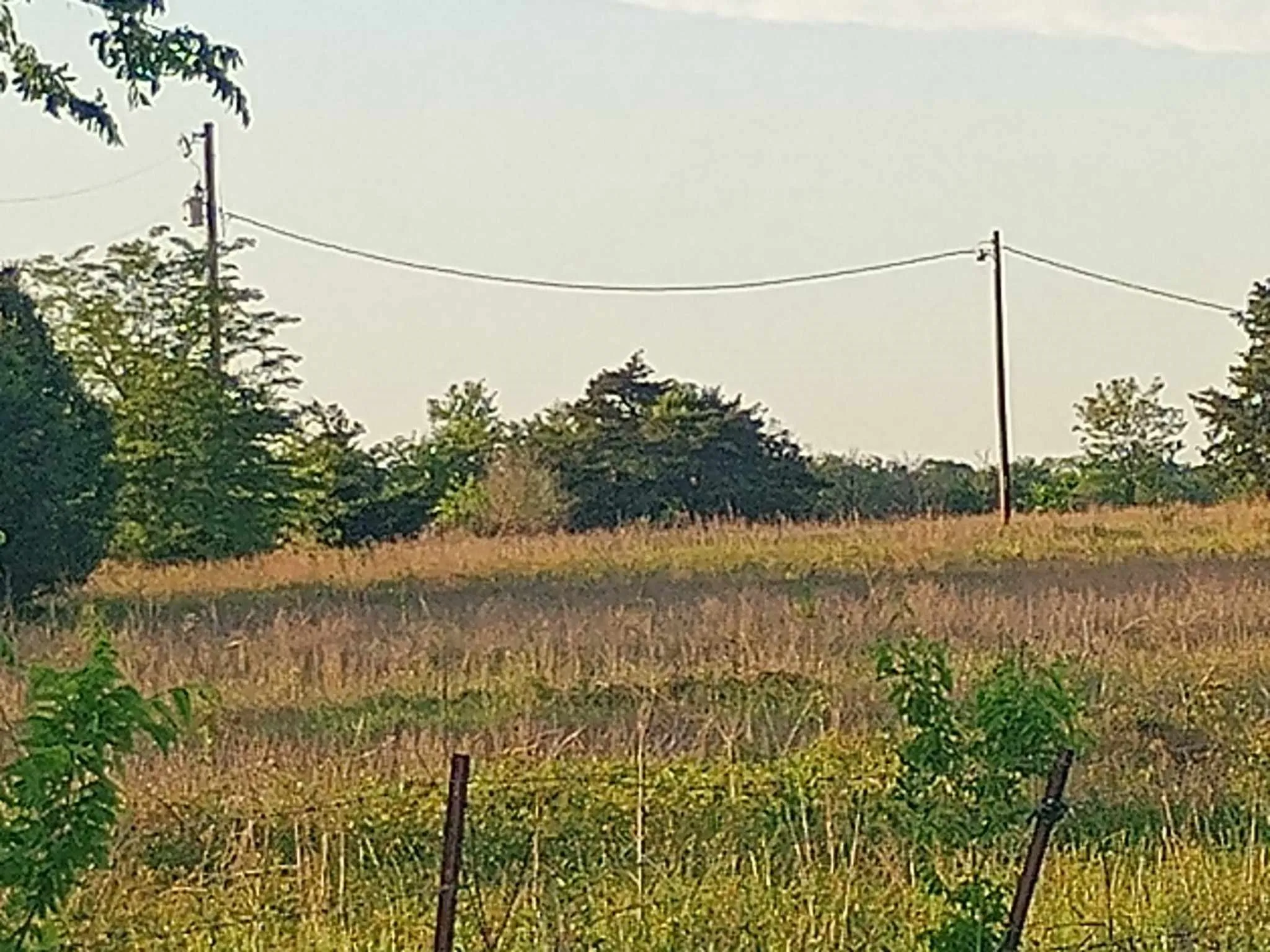 Business For Rent in Hunt County , 5330 I-30, Campbell, Texas 75422, 0, 0, Garage spaces, 0 Sqft, built in 0, Unknown, mls#20846220, Real Estate Agent in Campbell, Homes For Rent in Hunt county, Homes For Rent in Campbell, Realtor in Campbell Texas, Real Estate Brokerage Independent Realty Texas, Luminita Cordes Realtor