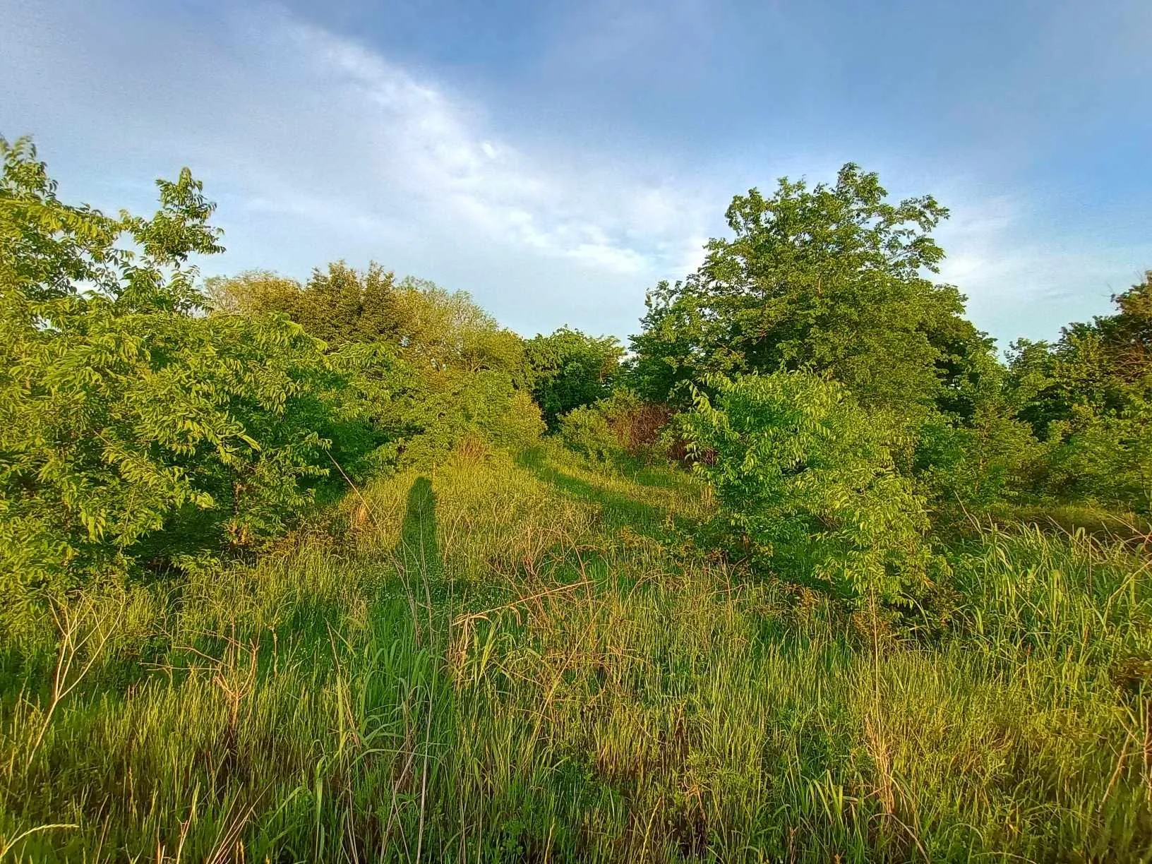 Business For Rent in Hunt County , 5330 I-30, Campbell, Texas 75422, 0, 0, Garage spaces, 0 Sqft, built in 0, Unknown, mls#20846220, Real Estate Agent in Campbell, Homes For Rent in Hunt county, Homes For Rent in Campbell, Realtor in Campbell Texas, Real Estate Brokerage Independent Realty Texas, Luminita Cordes Realtor
