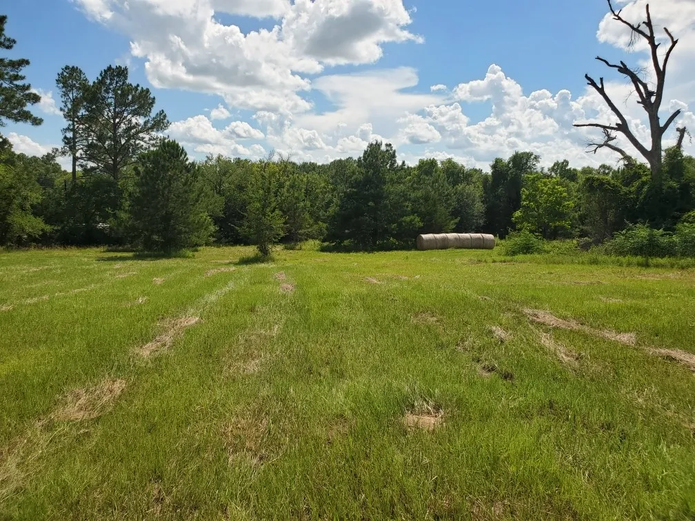View of yard featuring a view of trees