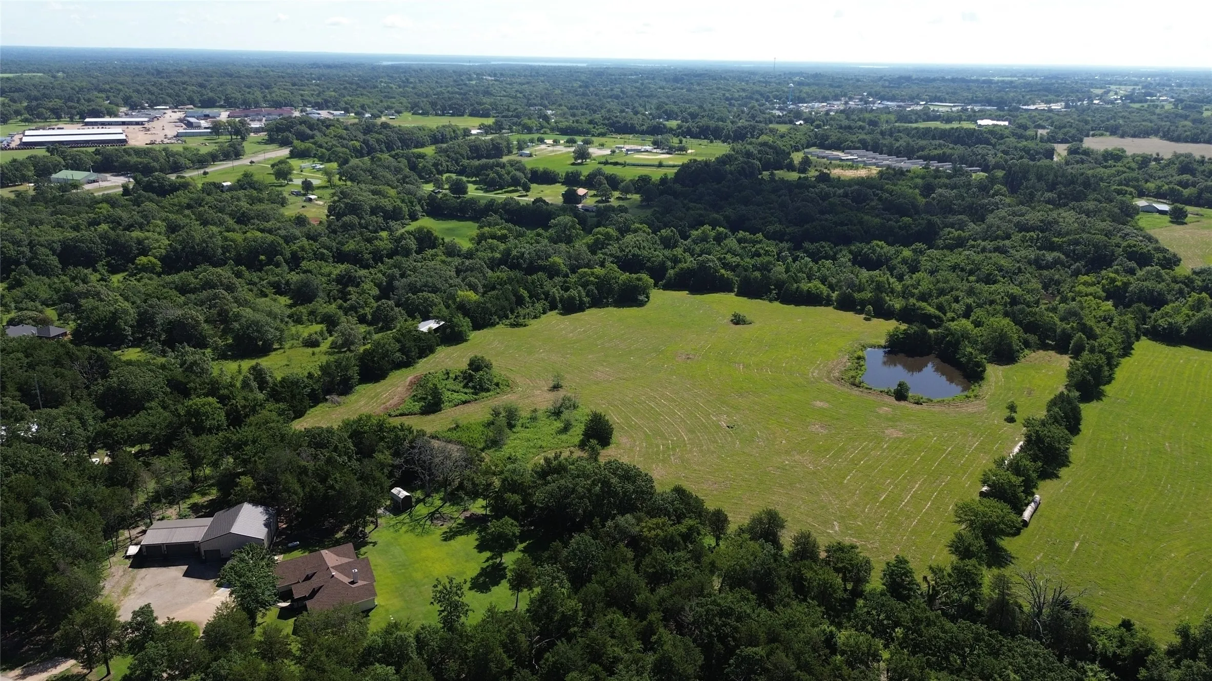 Bird's eye view of a forest and a nearby body of water