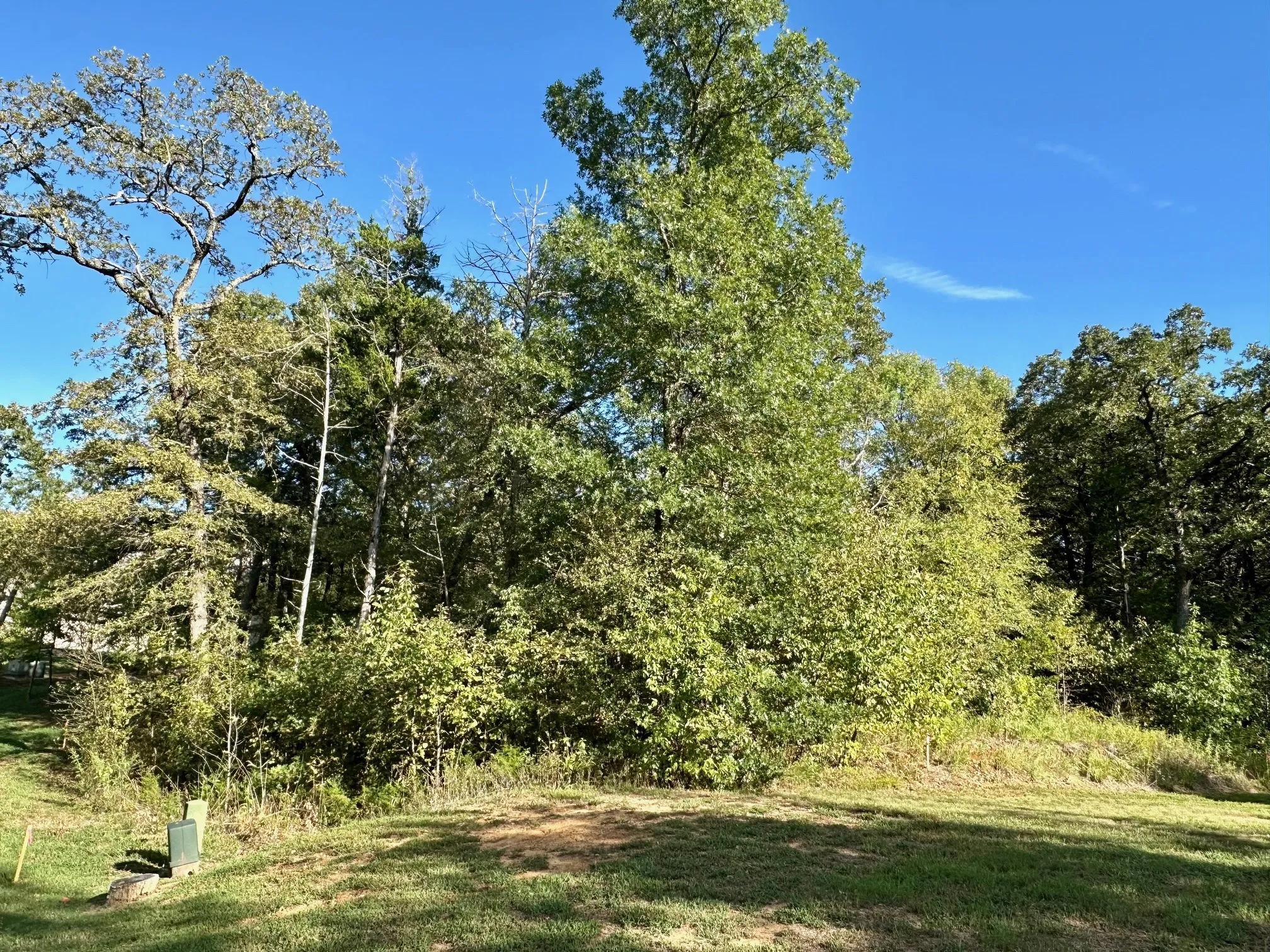 Unimproved Land For Sale in Grayson County , 27A Annadale Lane, Gordonville, Texas 76245, 0, 0, Garage spaces, 0 Sqft, built in 0, mls#20847697, Real Estate Agent in Gordonville, Homes For Sale in Grayson county, Homes For Sale in Gordonville, Realtor in Gordonville Texas, Real Estate Brokerage Independent Realty Texas, Luminita Cordes Realtor