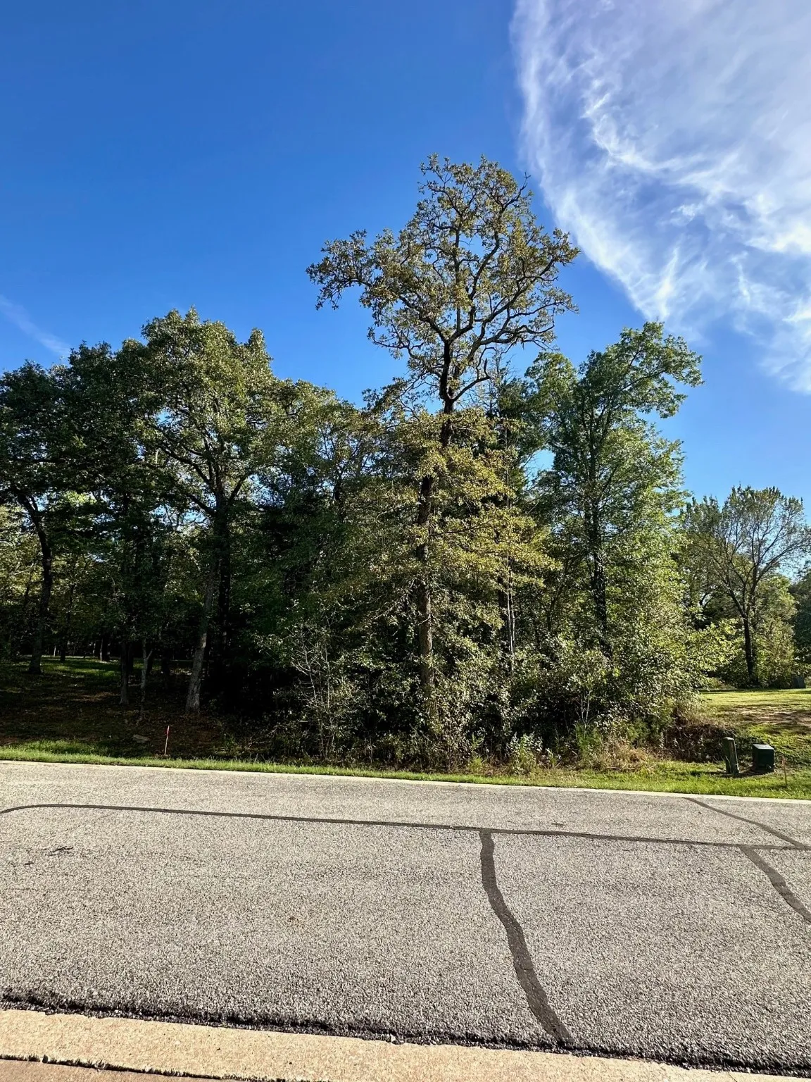 Unimproved Land For Sale in Grayson County , 27A Annadale Lane, Gordonville, Texas 76245, 0, 0, Garage spaces, 0 Sqft, built in 0, mls#20847697, Real Estate Agent in Gordonville, Homes For Sale in Grayson county, Homes For Sale in Gordonville, Realtor in Gordonville Texas, Real Estate Brokerage Independent Realty Texas, Luminita Cordes Realtor